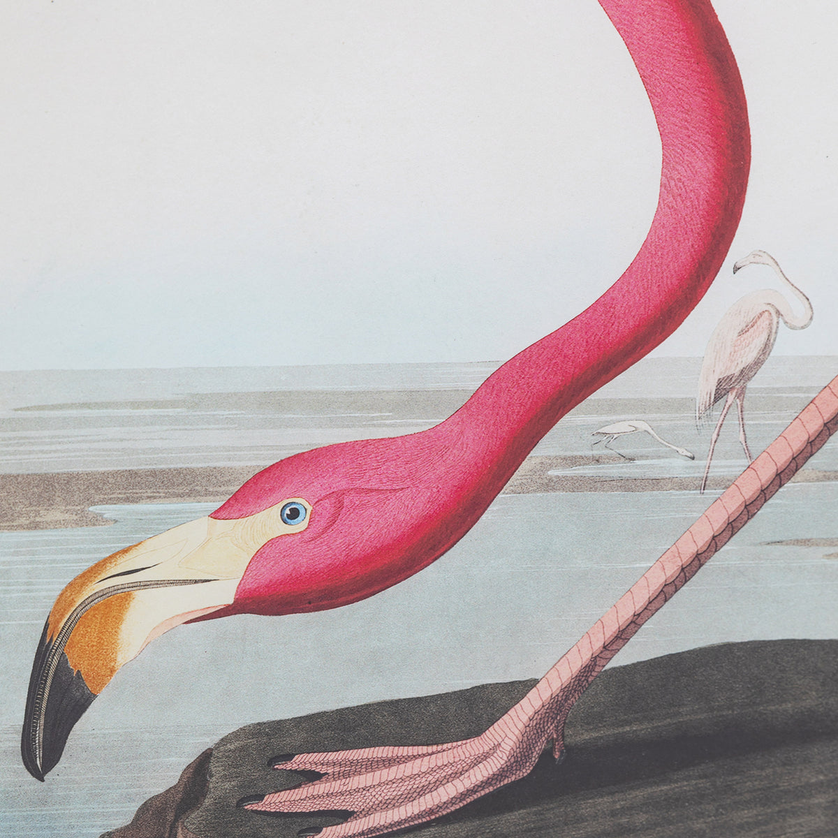 Gallery Direct Wading Flamingo Framed Art - image 8