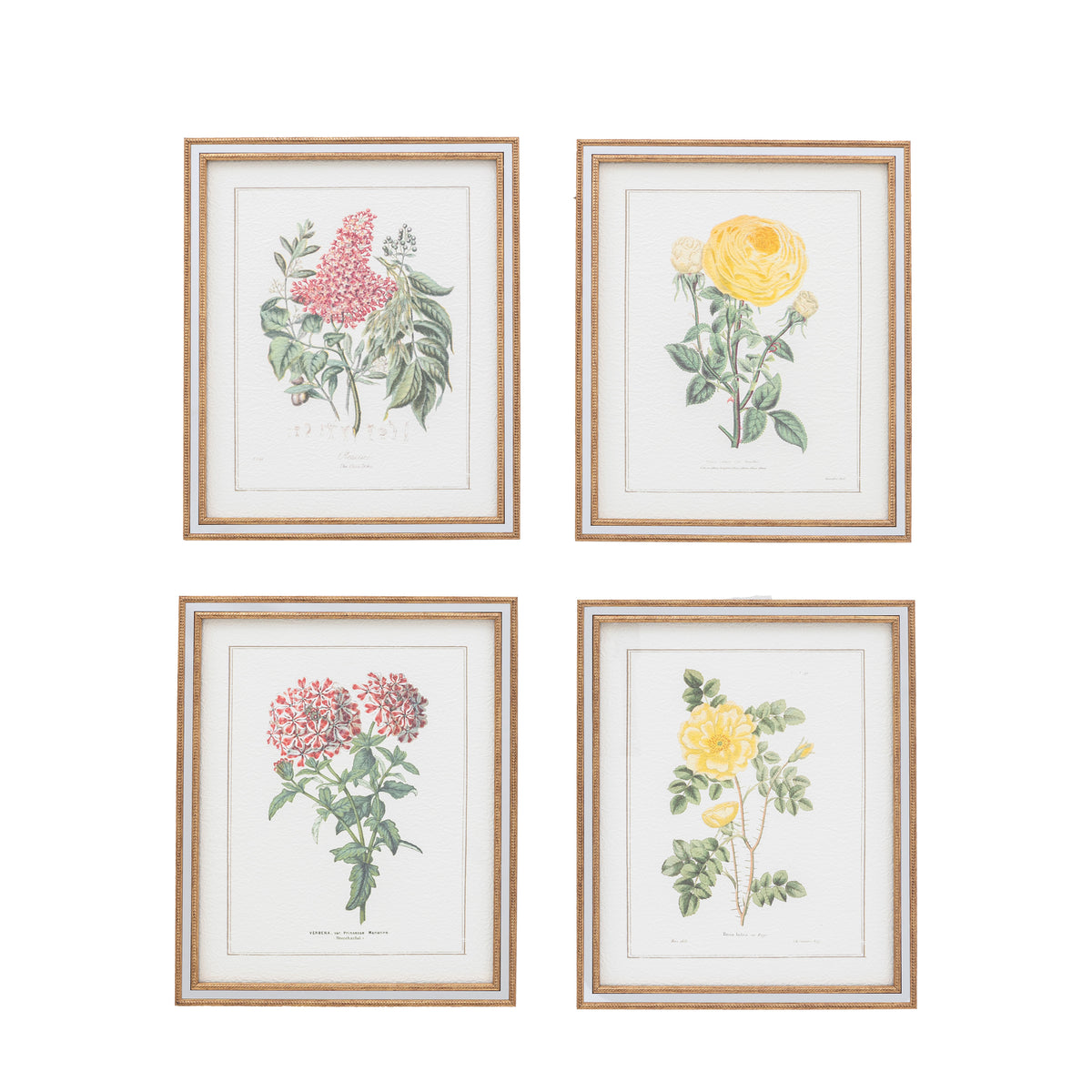 Gallery Direct Floral Quartet Framed Art Set of 4 - image 1