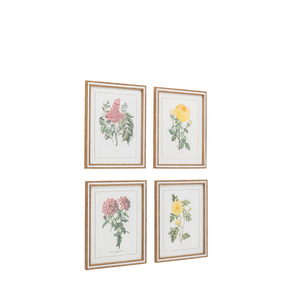 Gallery Direct Floral Quartet Framed Art Set of 4 - image 3