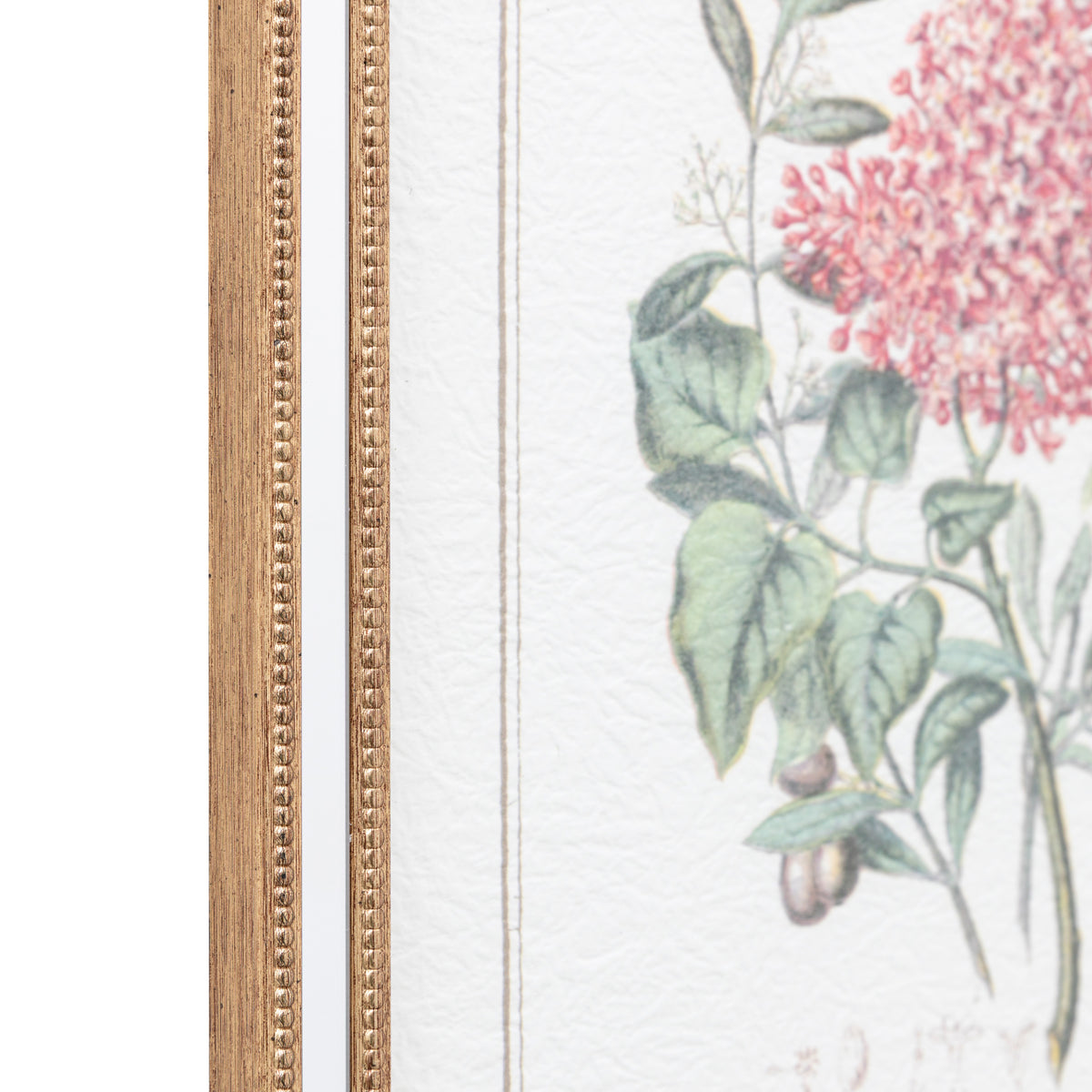Gallery Direct Floral Quartet Framed Art Set of 4 - image 4