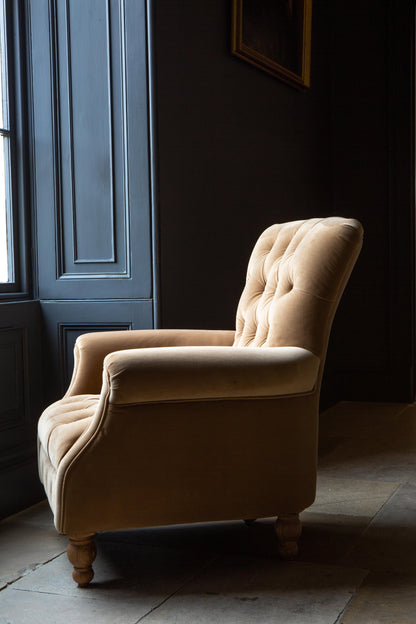 Carlton Furniture Westminster Armchair in Butterscotch Velvet - side room view of buttoned armchair