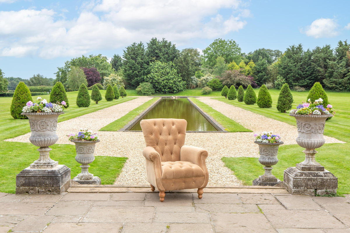 Carlton Furniture Westminster Armchair in Butterscotch Velvet - outdoor photography view of butterscotch buttoned armchair
