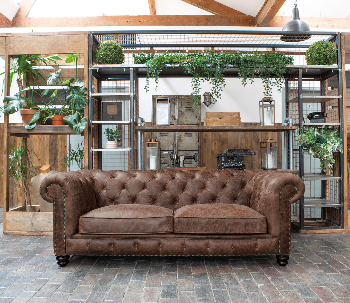 Vintage Sofa Company Gotti Club 3 Seater Espresso Leather — lifestyle setting