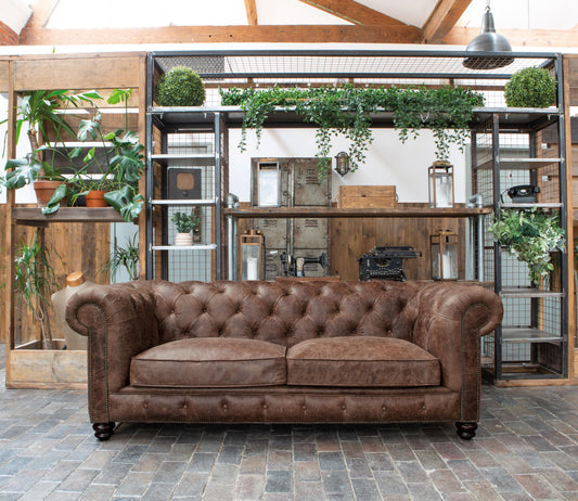 Vintage Sofa Company Gotti Club 3 Seater Espresso Leather — lifestyle setting