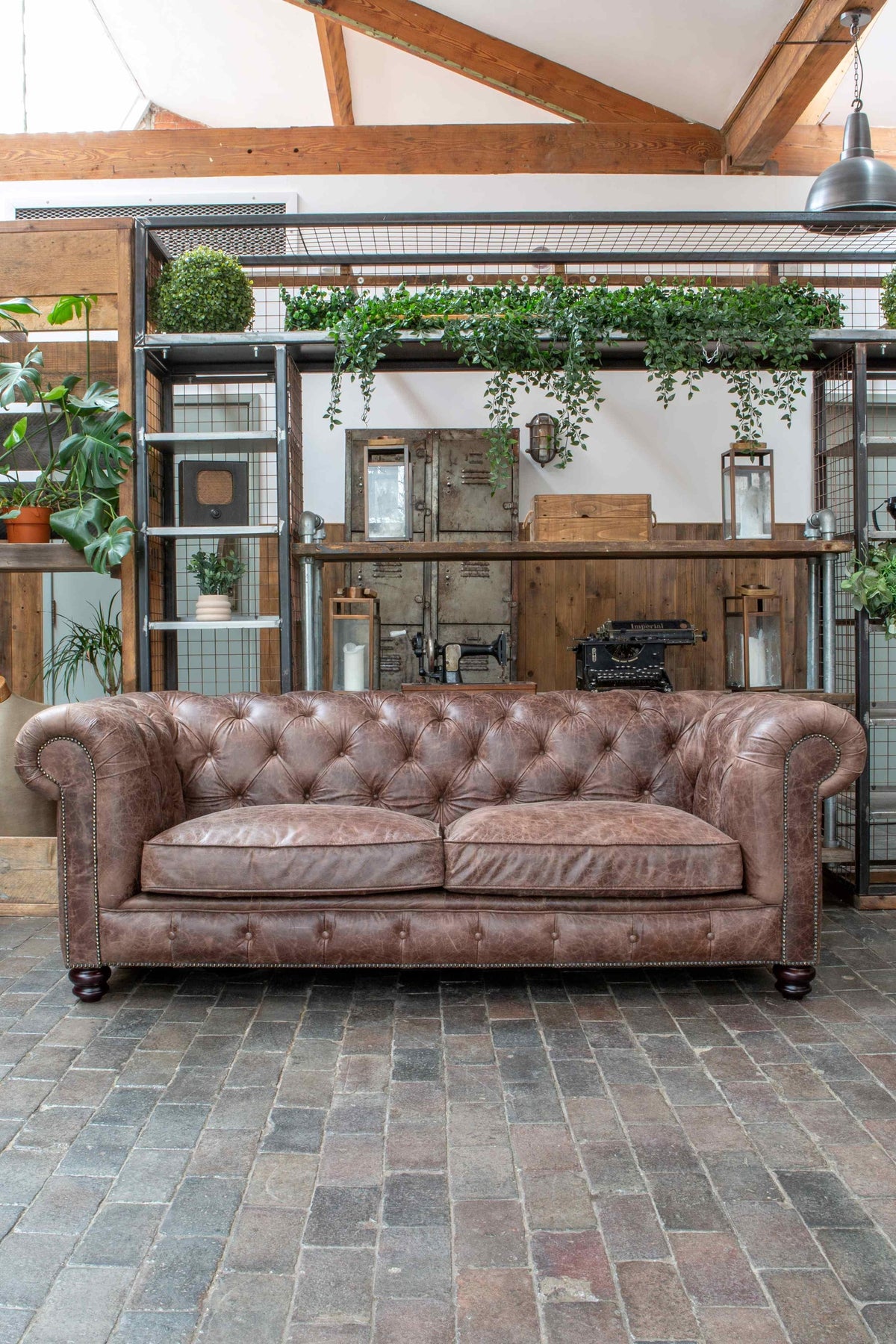 Vintage Sofa Company Gotti Club 3 Seater Espresso Leather — lifestyle setting