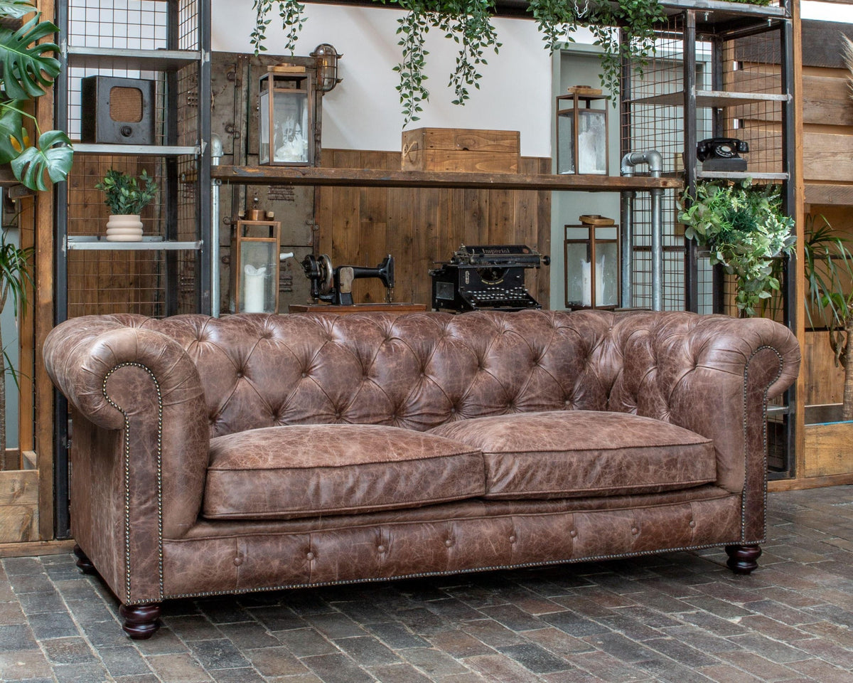Vintage Sofa Company Gotti Club 3 Seater Espresso Leather — lifestyle setting