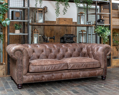 Vintage Sofa Company Gotti Club 3 Seater Espresso Leather — lifestyle setting