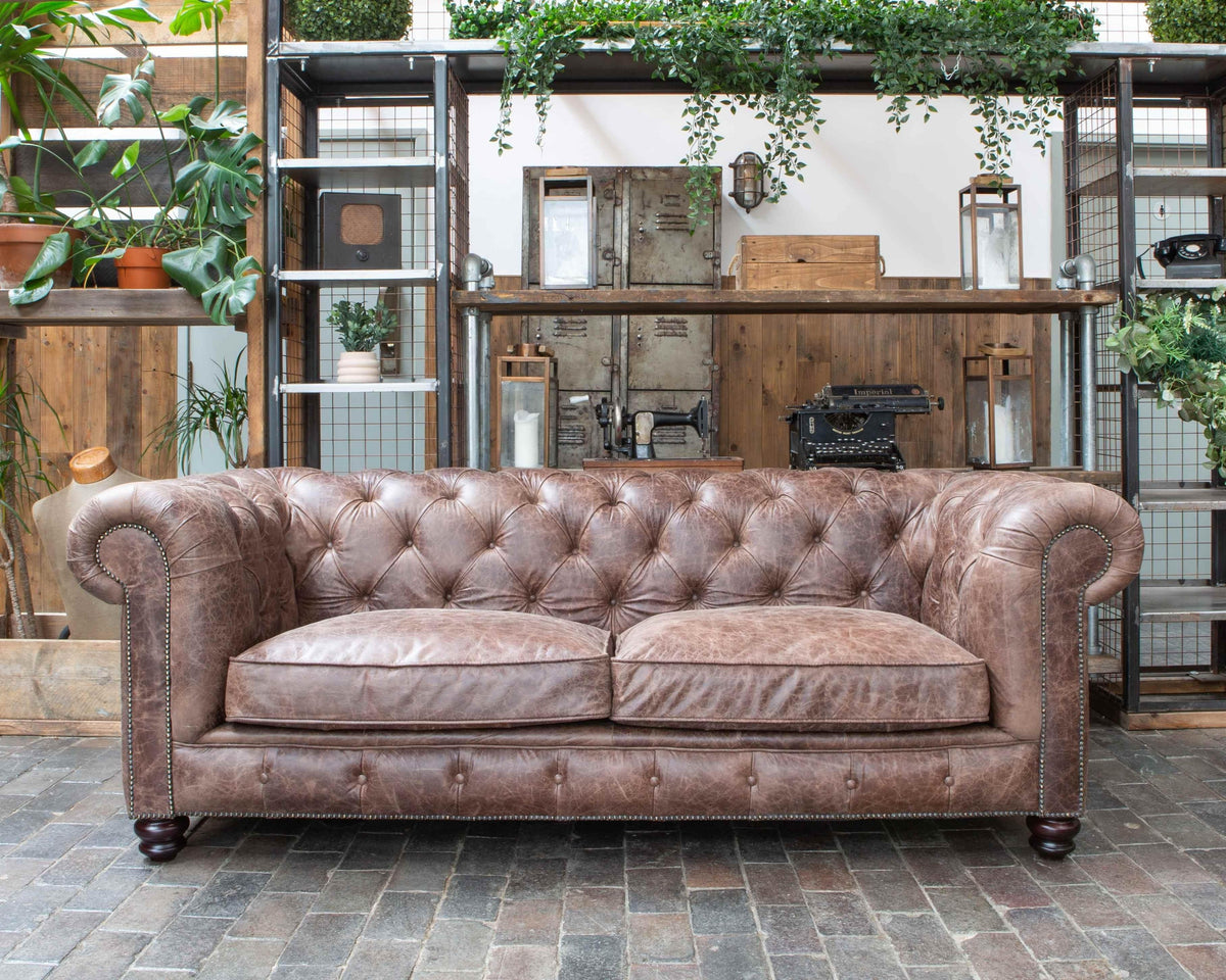 Vintage Sofa Company Gotti Club 3 Seater Espresso Leather — lifestyle setting