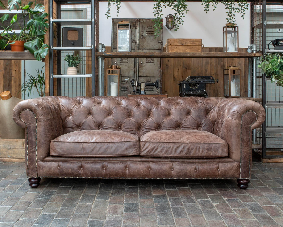Vintage Sofa Company Gotti Club 3 Seater Espresso Leather — lifestyle setting
