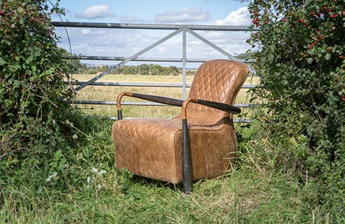 Occasional Chairs | Shackletons