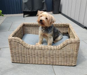 Perfect Pet Beds Basket in Sandstone with Natural Cushion | Shackletons