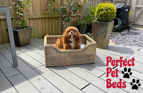 Perfect Pet Beds | Shackletons