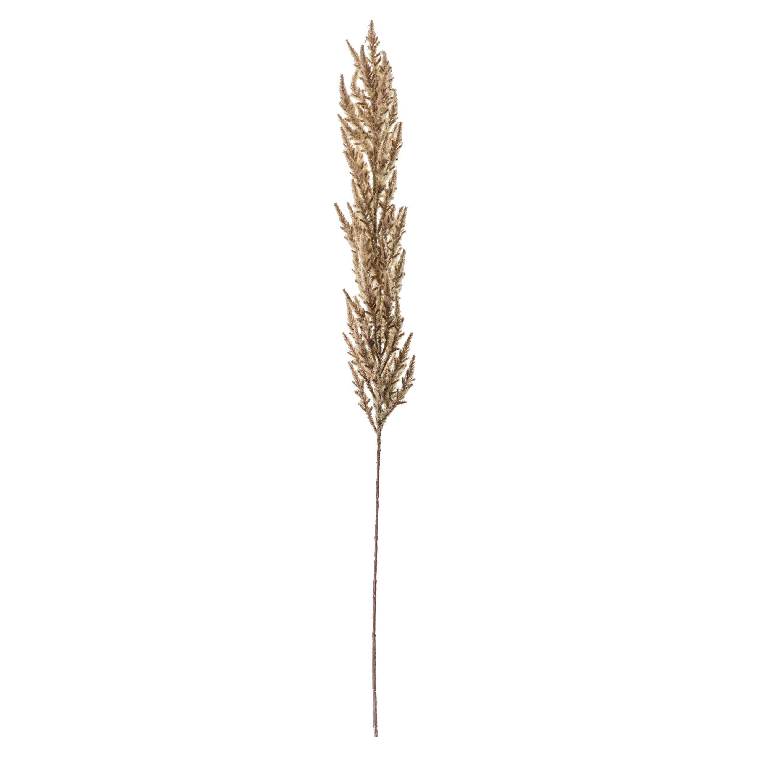 Gallery Direct Pampas Grass (Pack of 3) Fawn