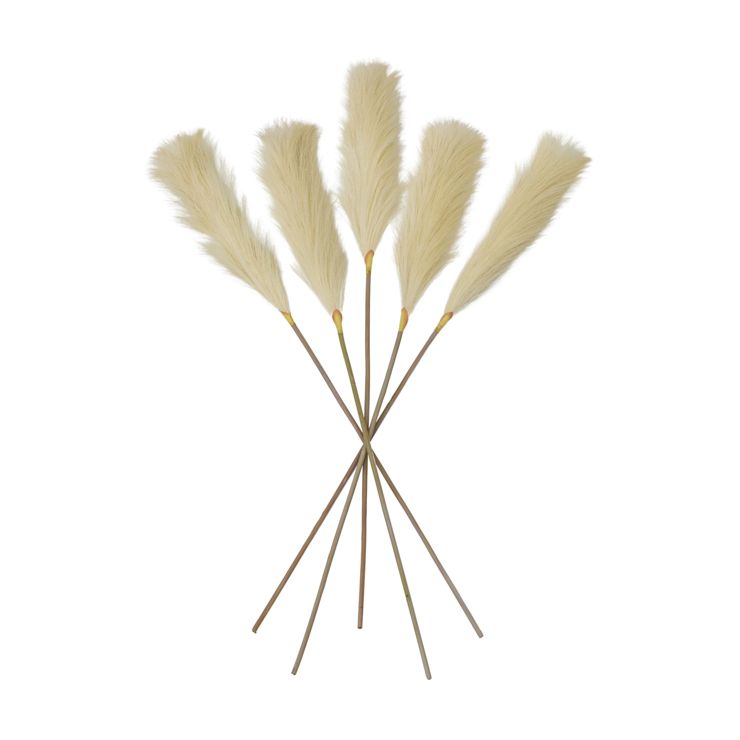 Gallery Direct Goma Soft Feather Stem Ivory (5pk)