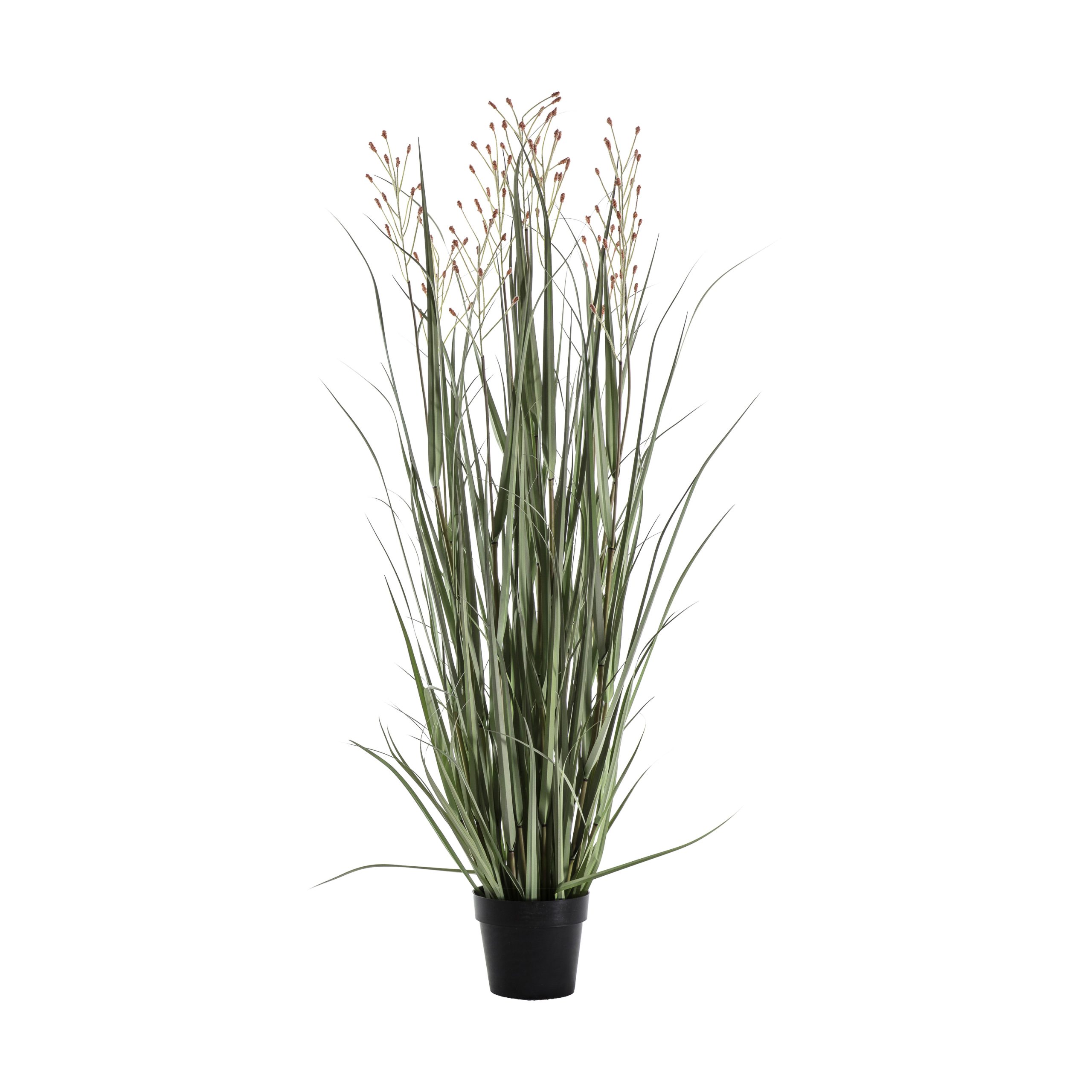 Gallery Direct Potted Grass w/7 Heads Green/Russet