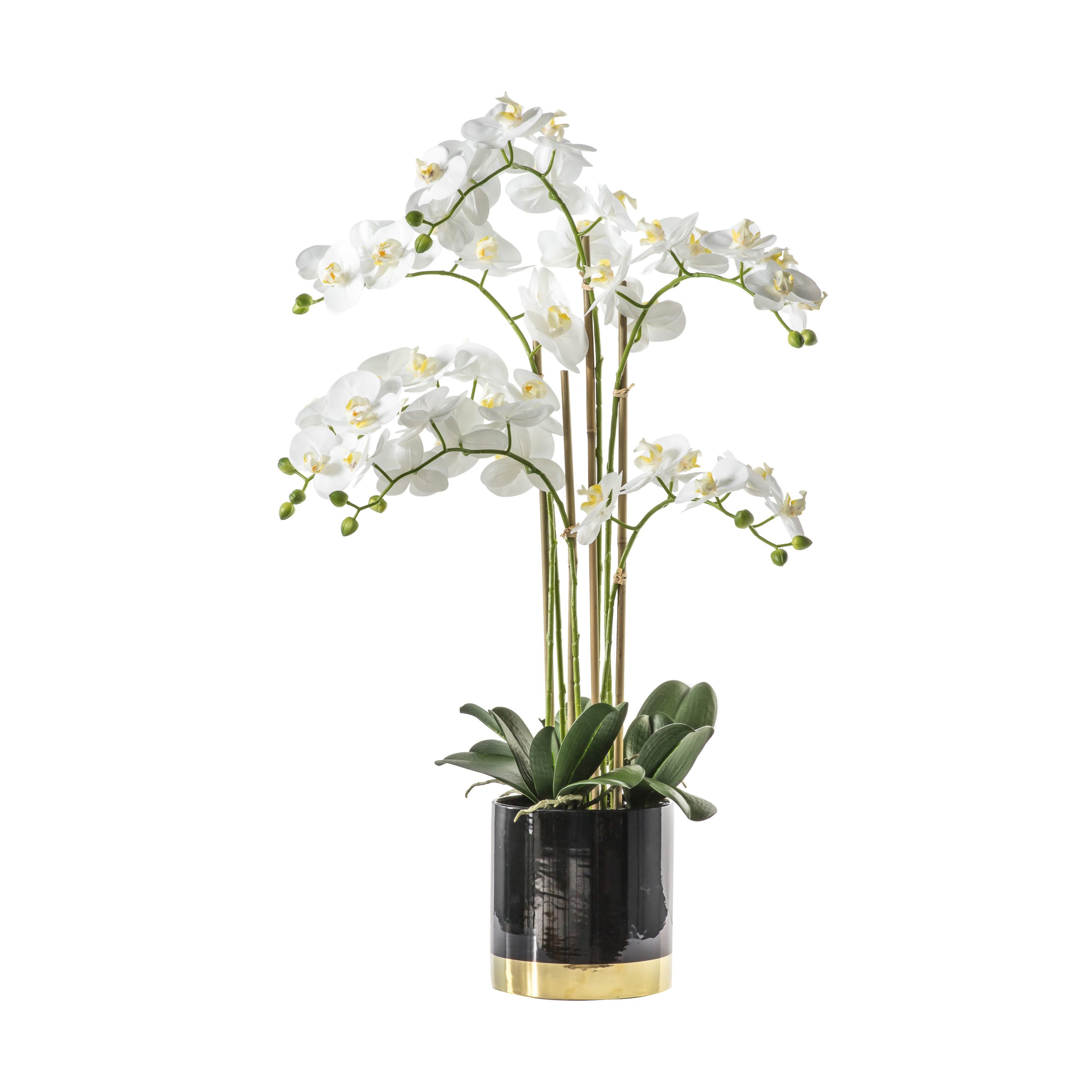 Gallery Direct Orchid White w/Black Gold Pot
