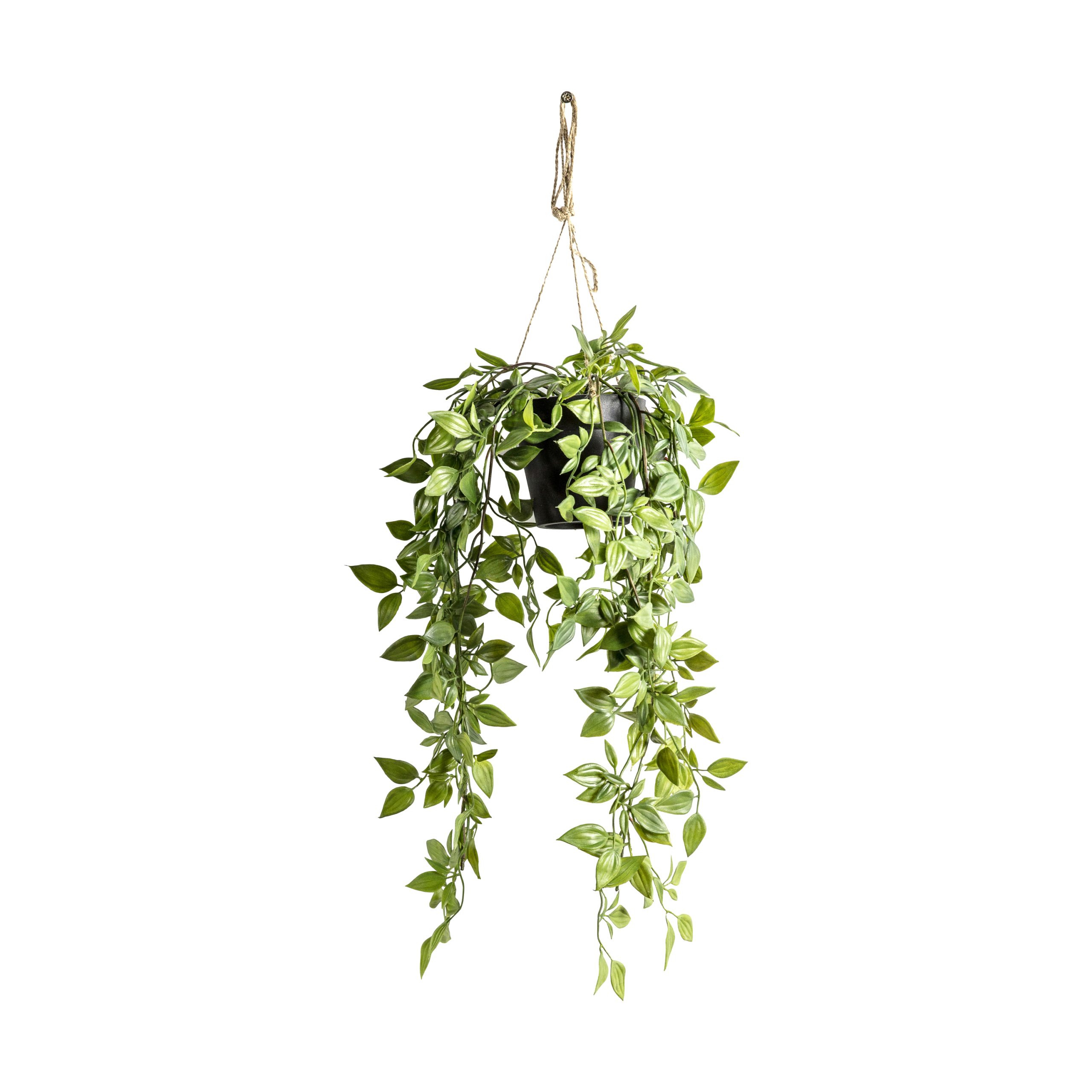 Gallery Direct Hanging Scindapsus Small