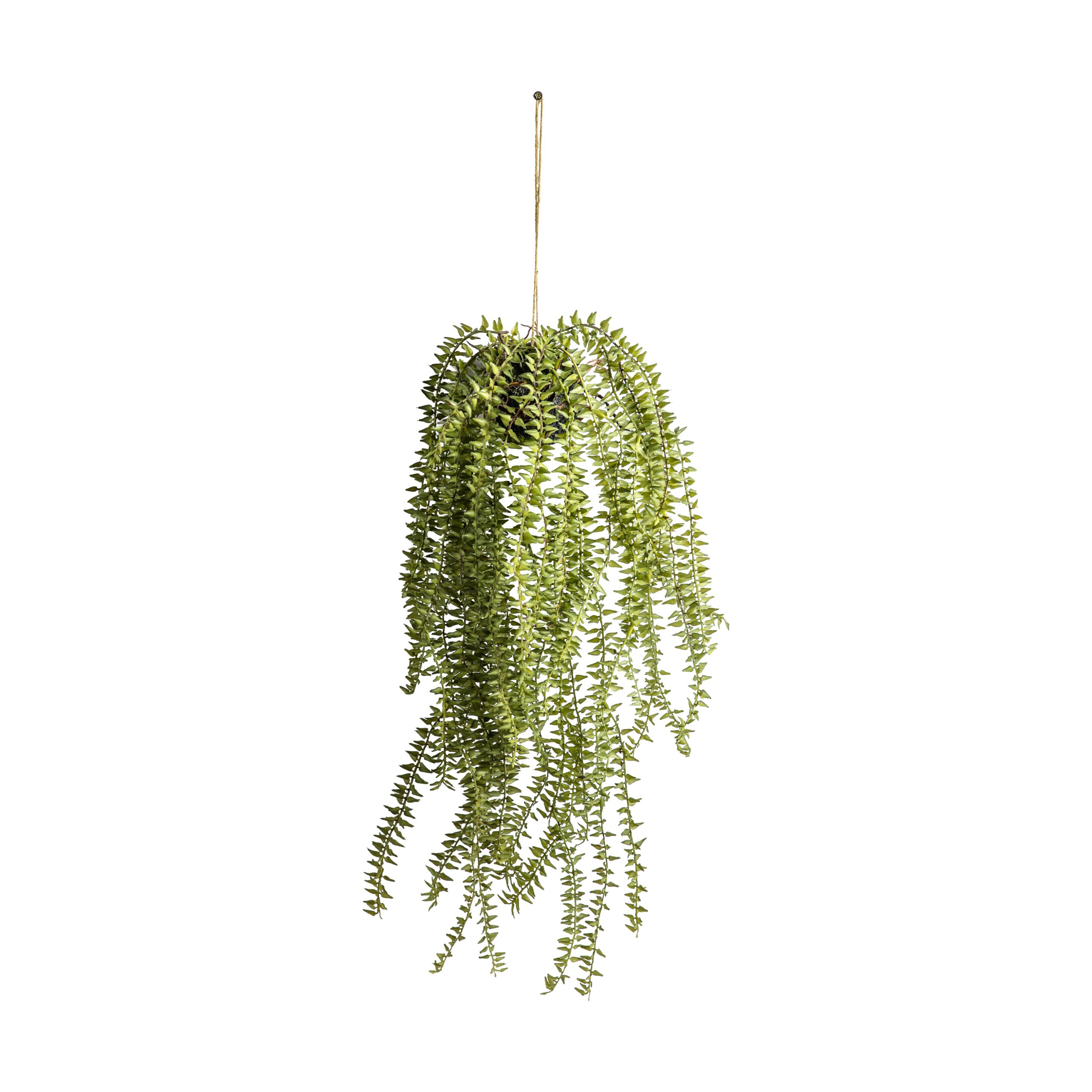 Gallery Direct Hanging Cactus Horsetail
