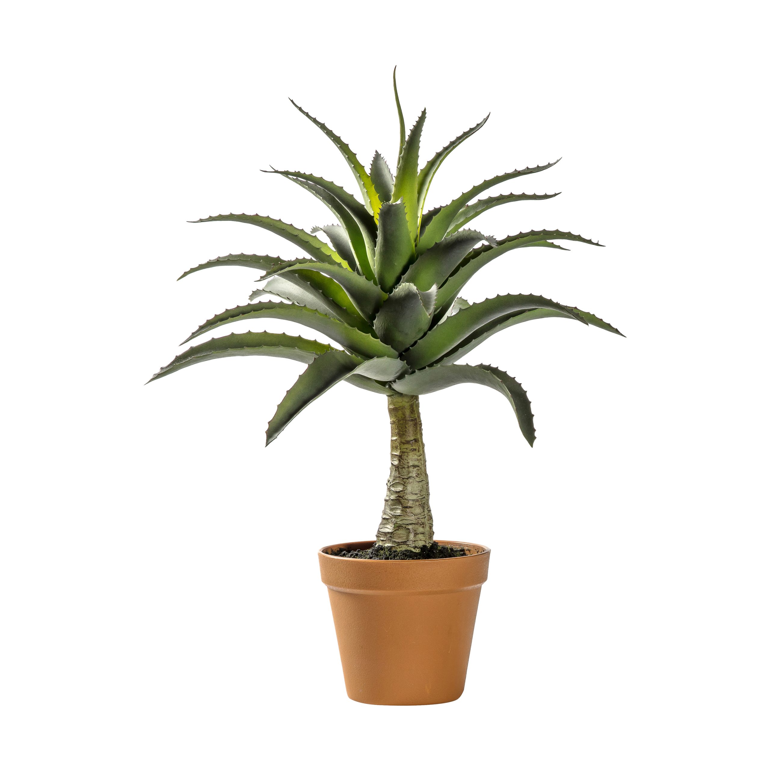 Gallery Direct Potted Agave