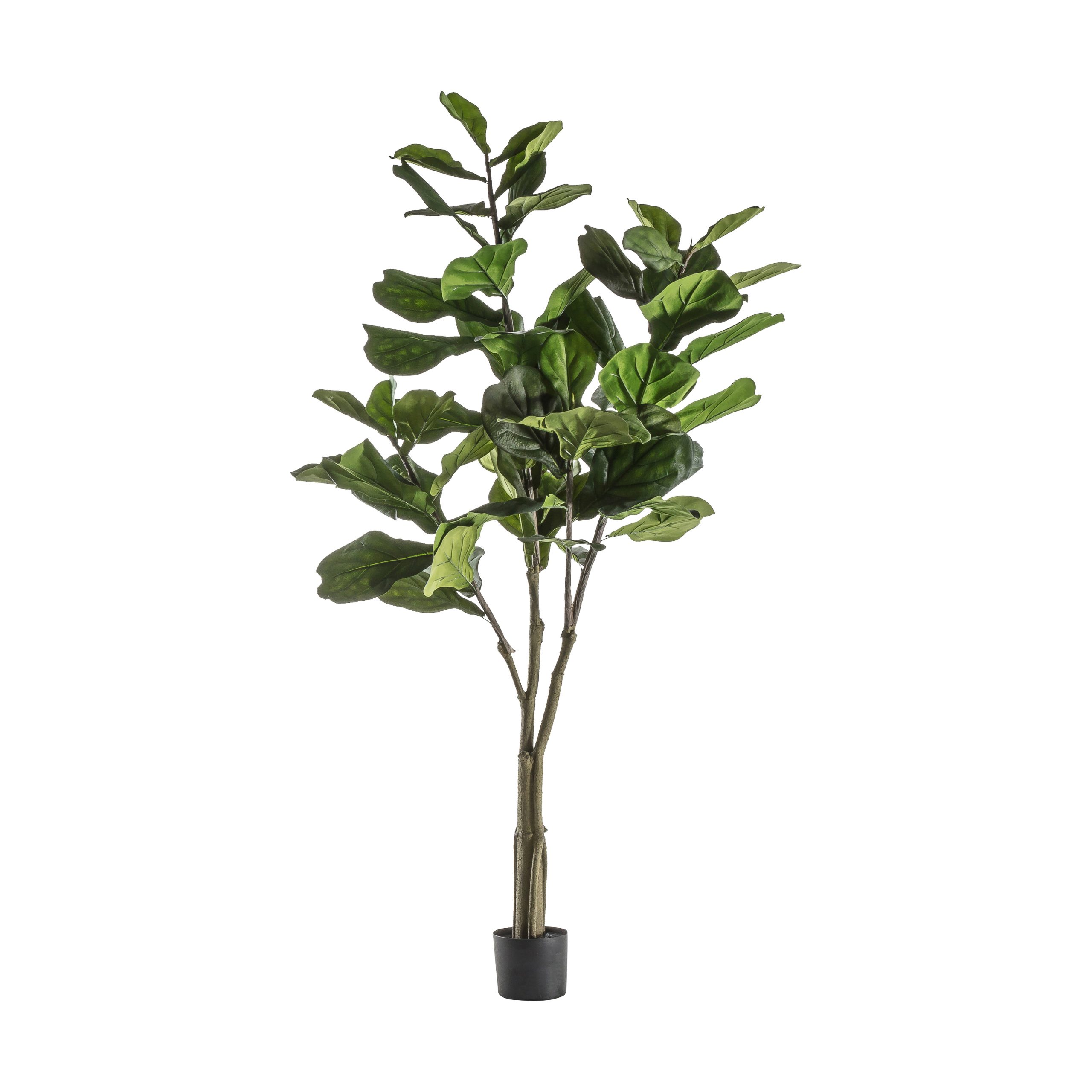 Gallery Direct Fiddle Tree  Leaves