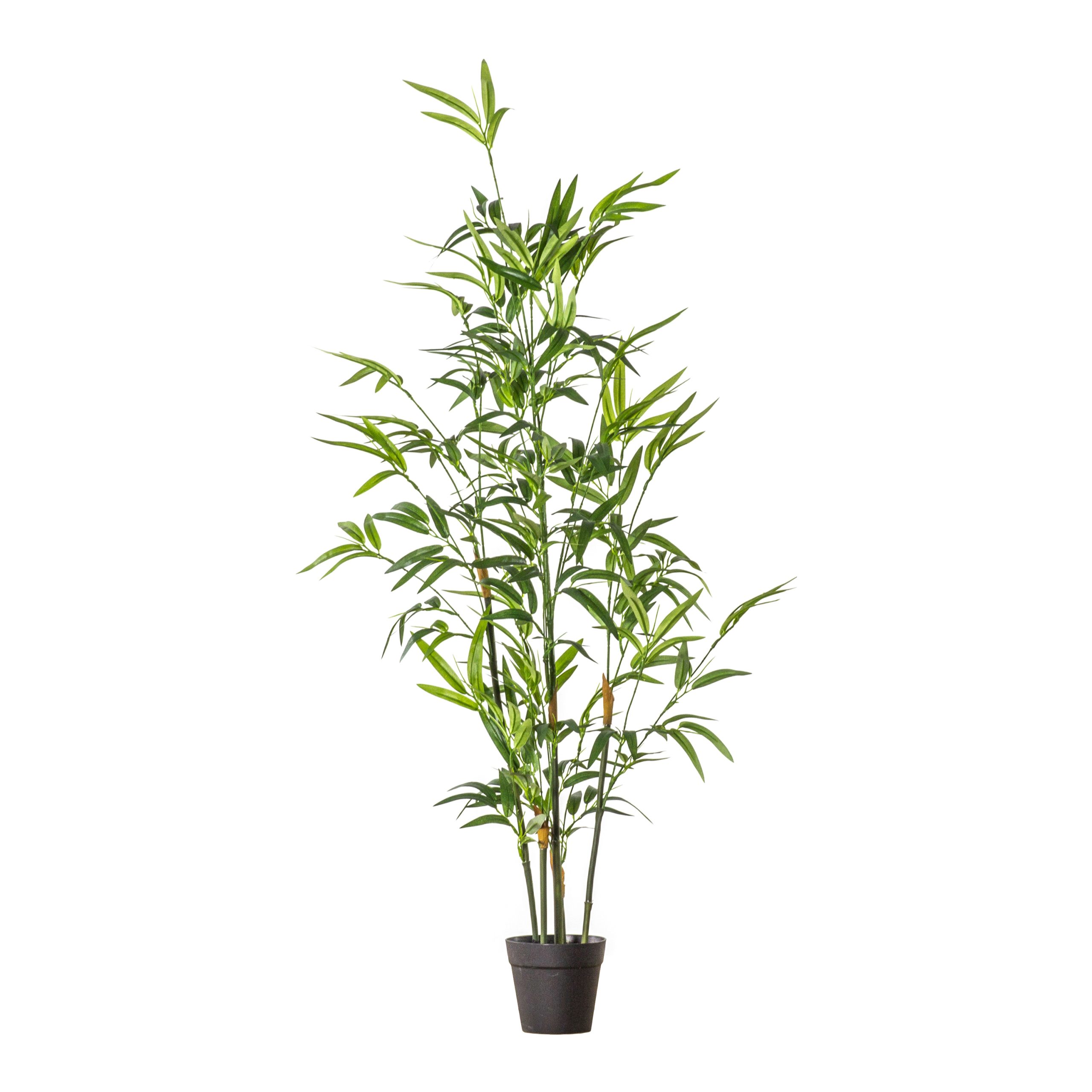 Gallery Direct Bamboo w/ Leaves