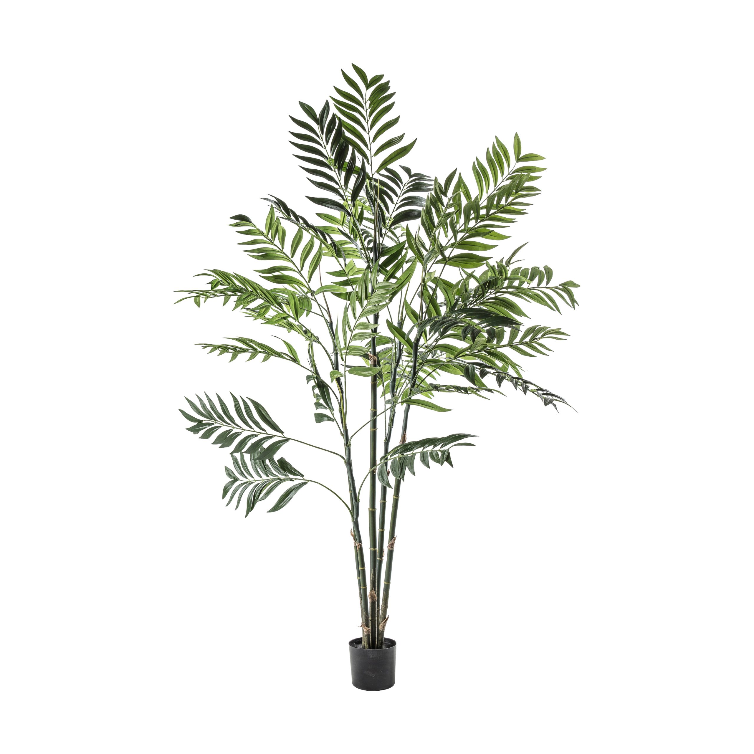 Gallery Direct Areca Palm Tree Large