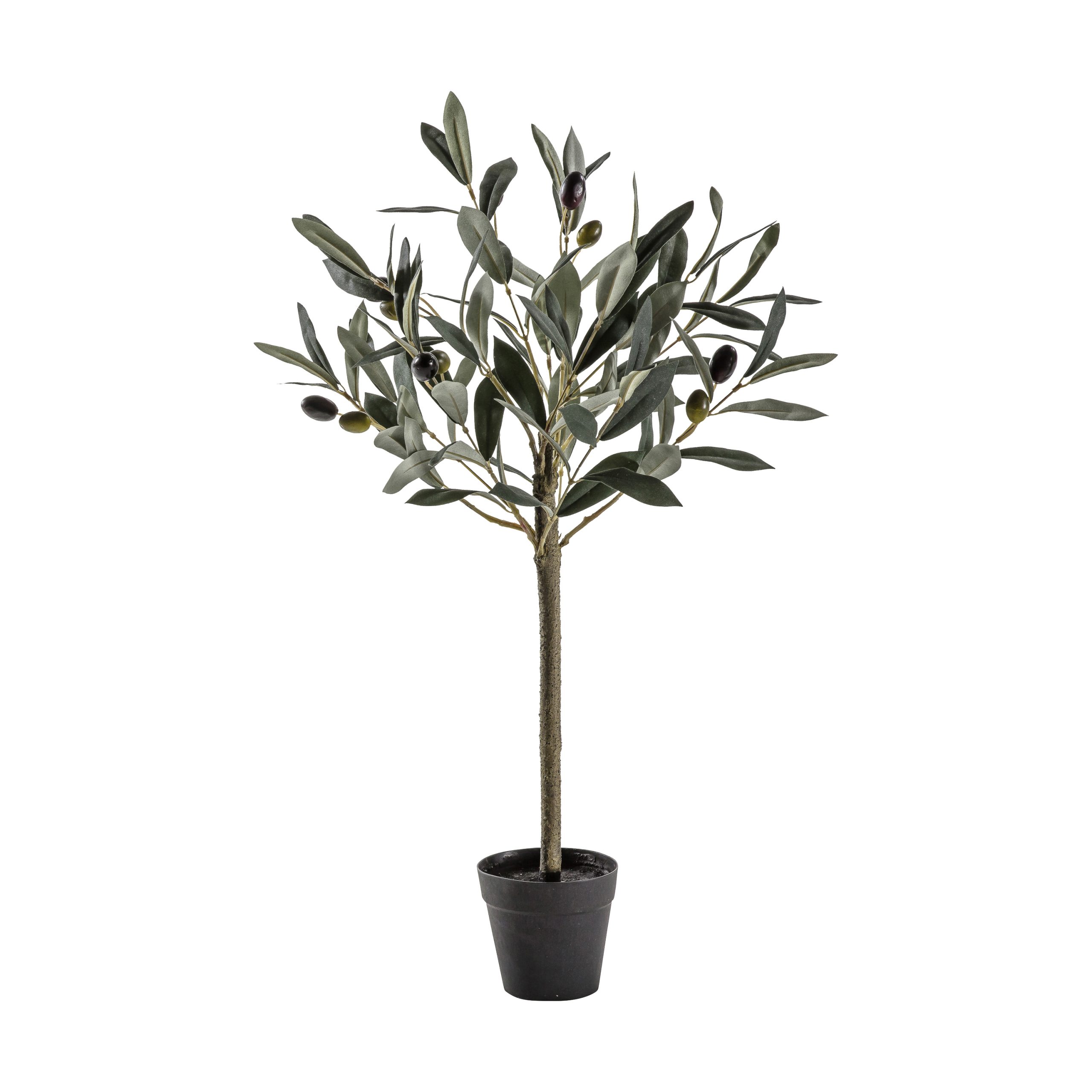 Gallery Direct Olive Tree Small