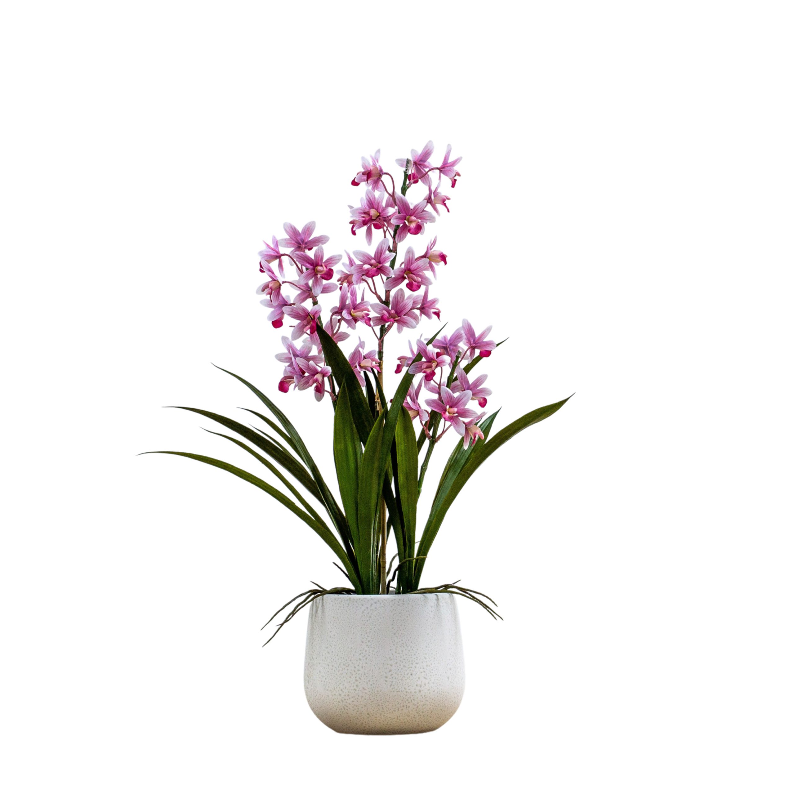 Gallery Direct Potted Cymbidium Orchid (real touch) Pink