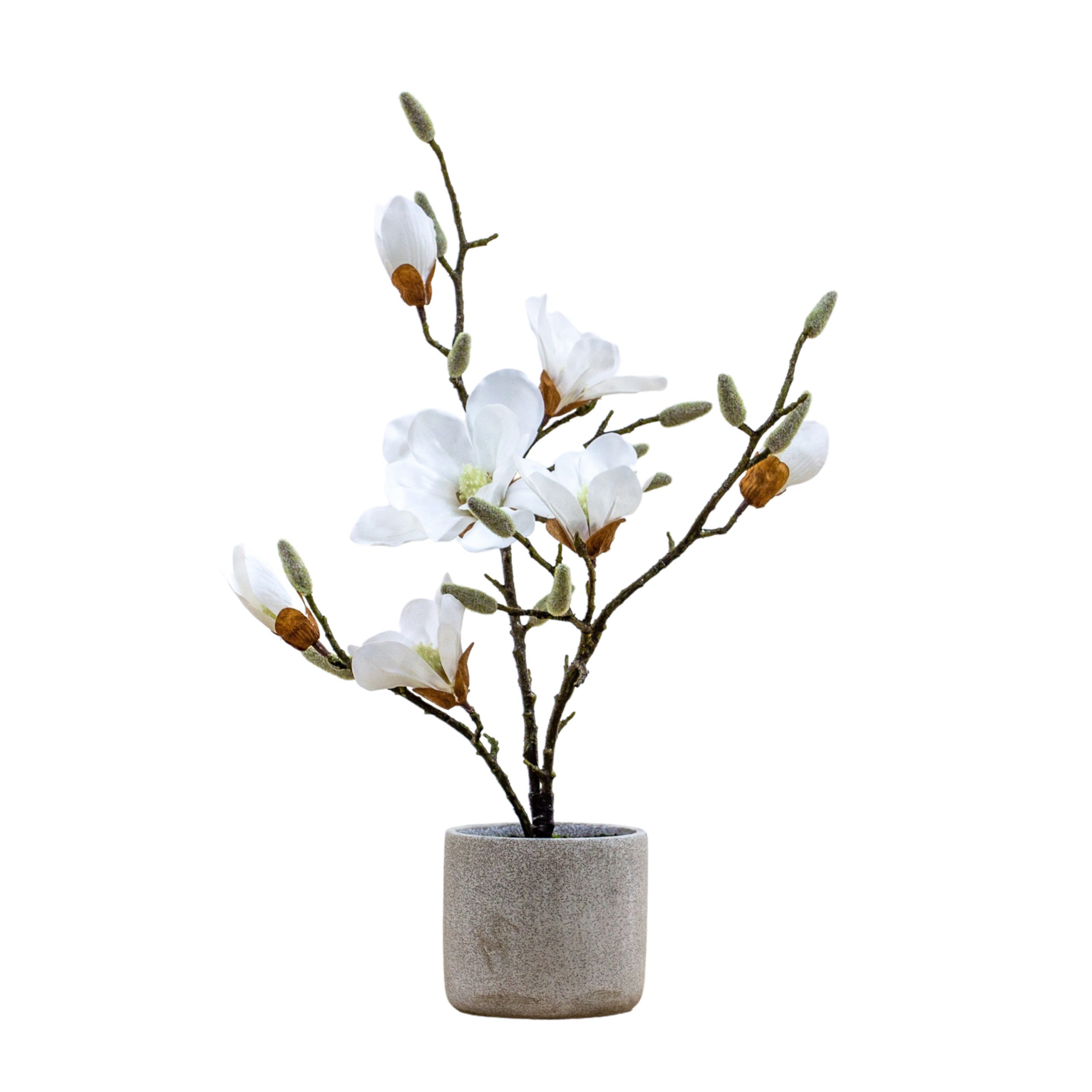 Gallery Direct Potted Magnolia (real touch) White