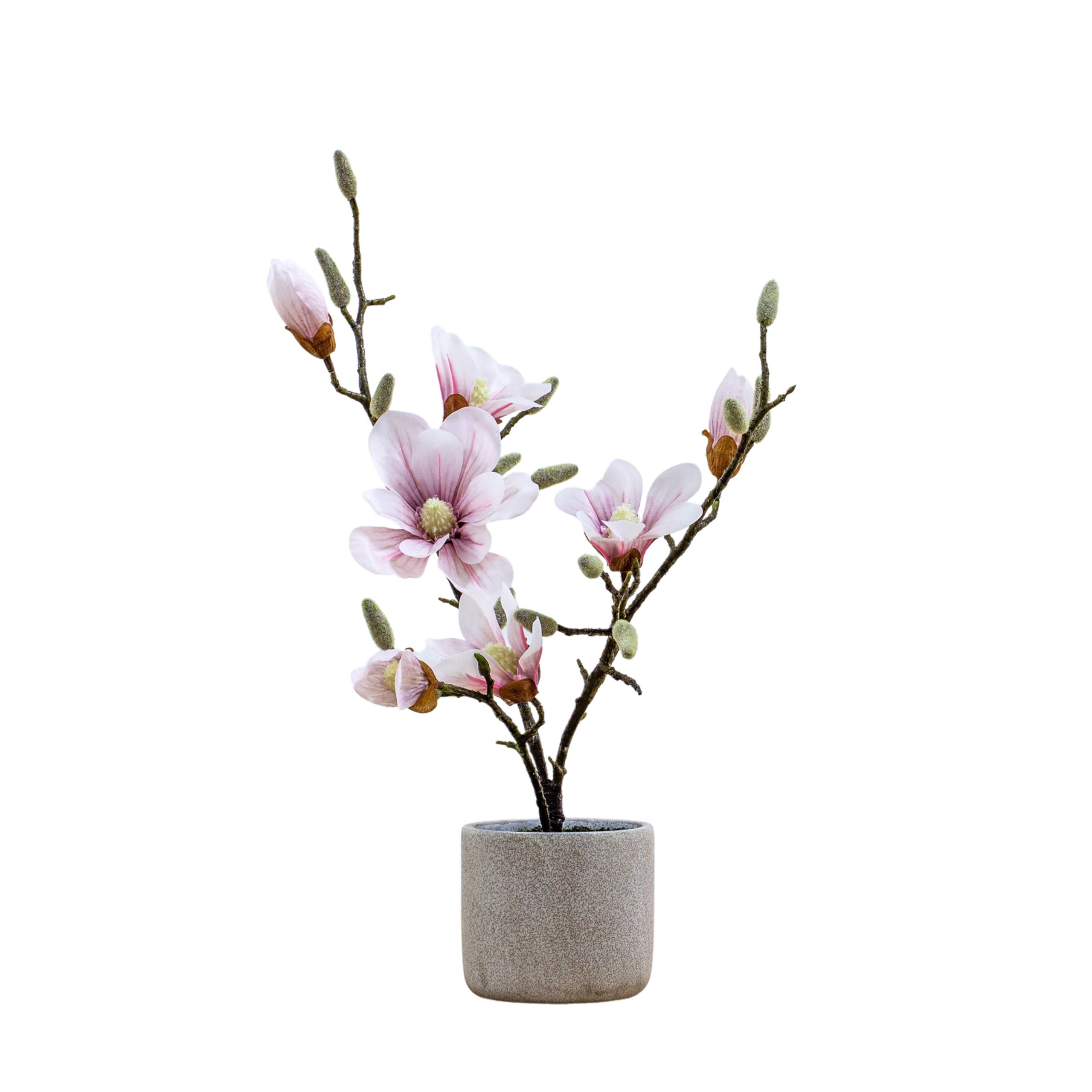 Gallery Direct Potted Magnolia (real touch) Light Pink