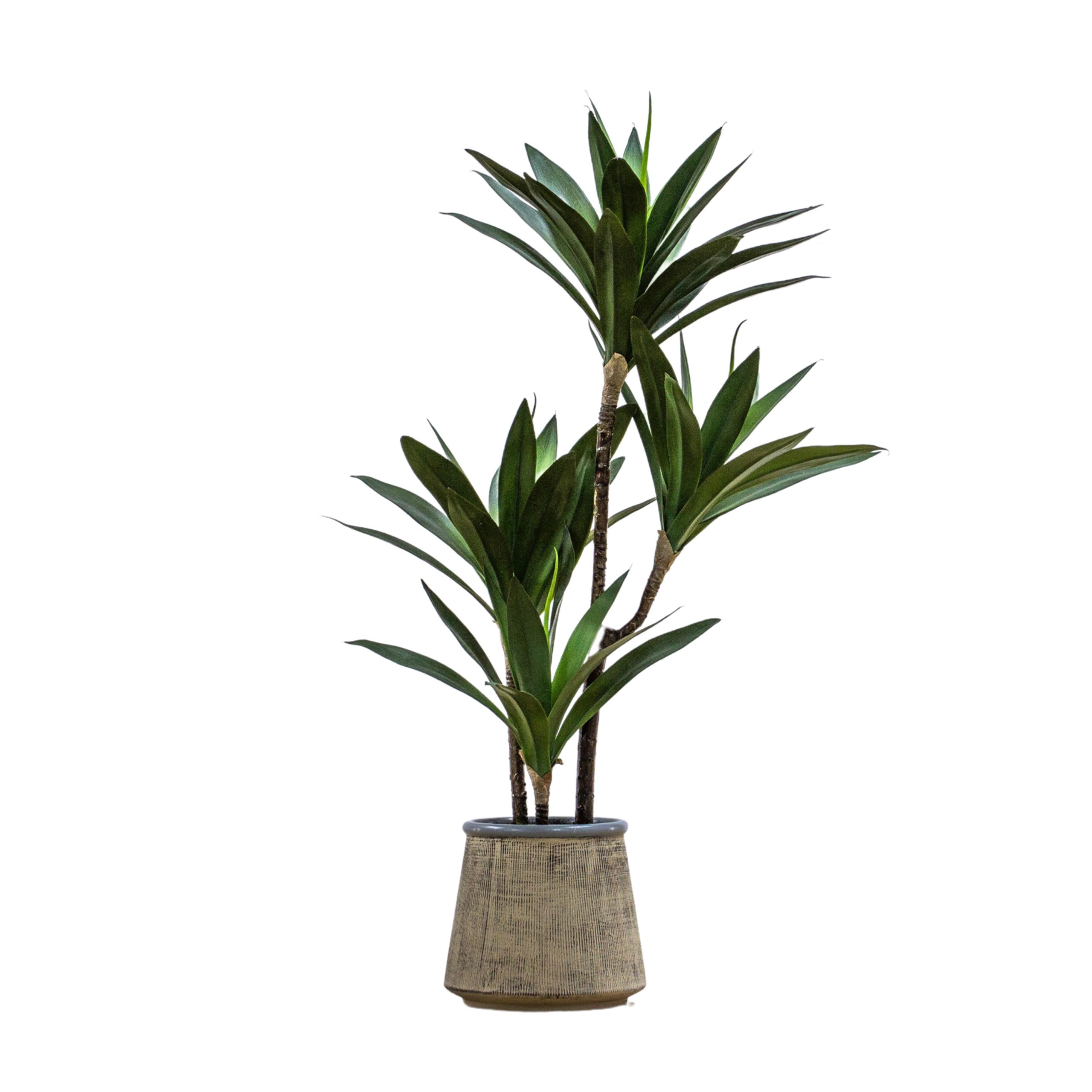 Gallery Direct Potted Yucca Green