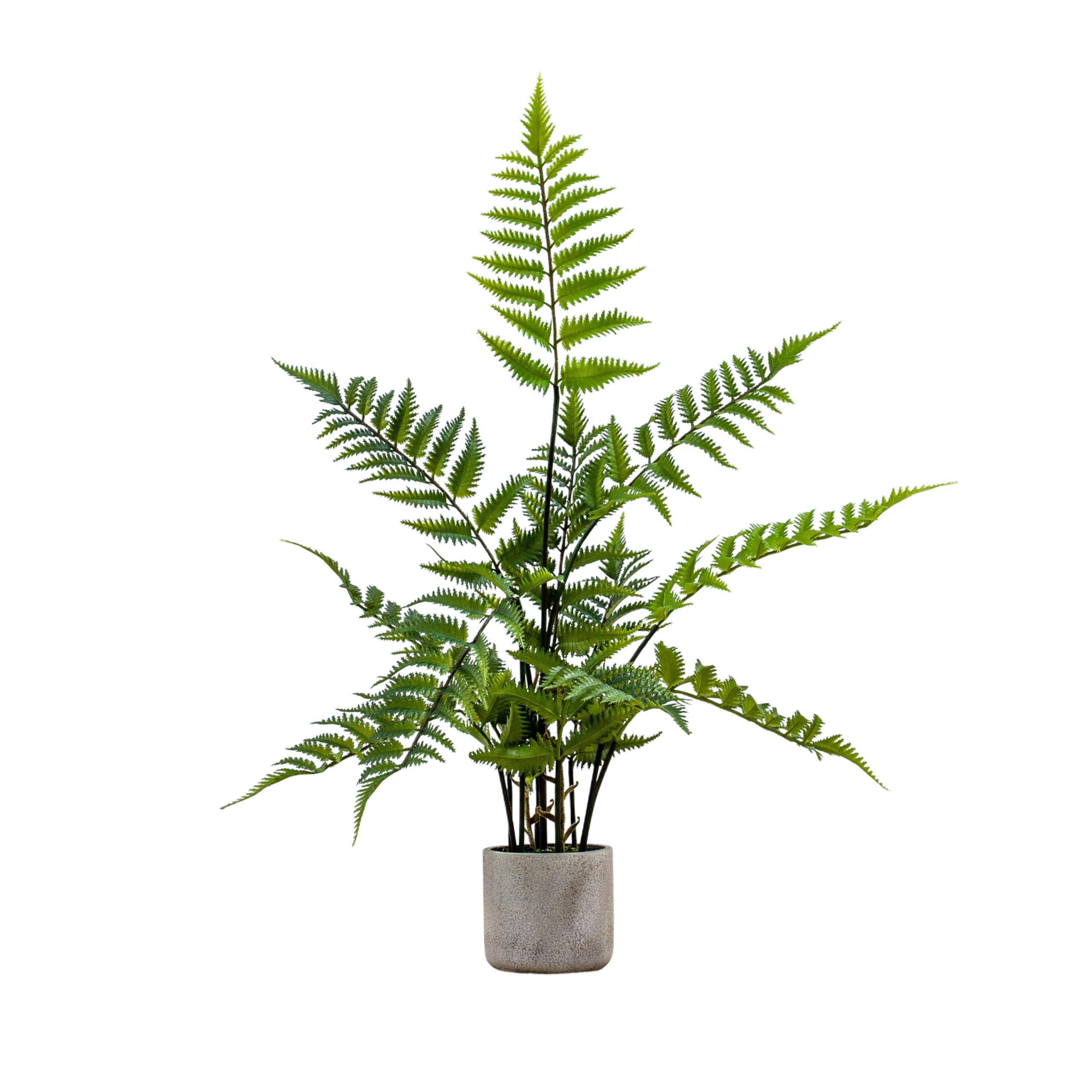 Gallery Direct Potted Fern in Cement Pot