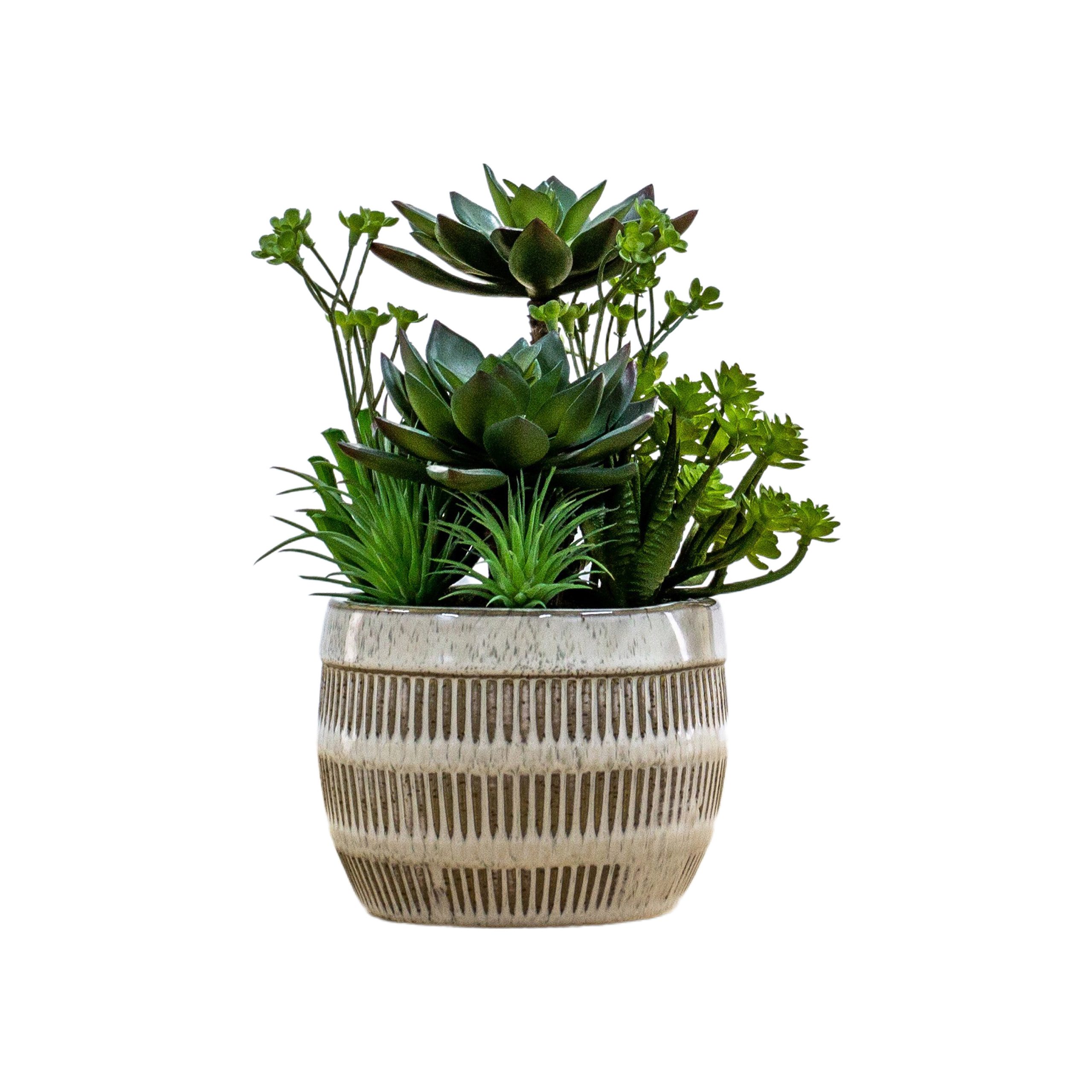 Gallery Direct Potted Succulents Ceramic Pot Green Brown
