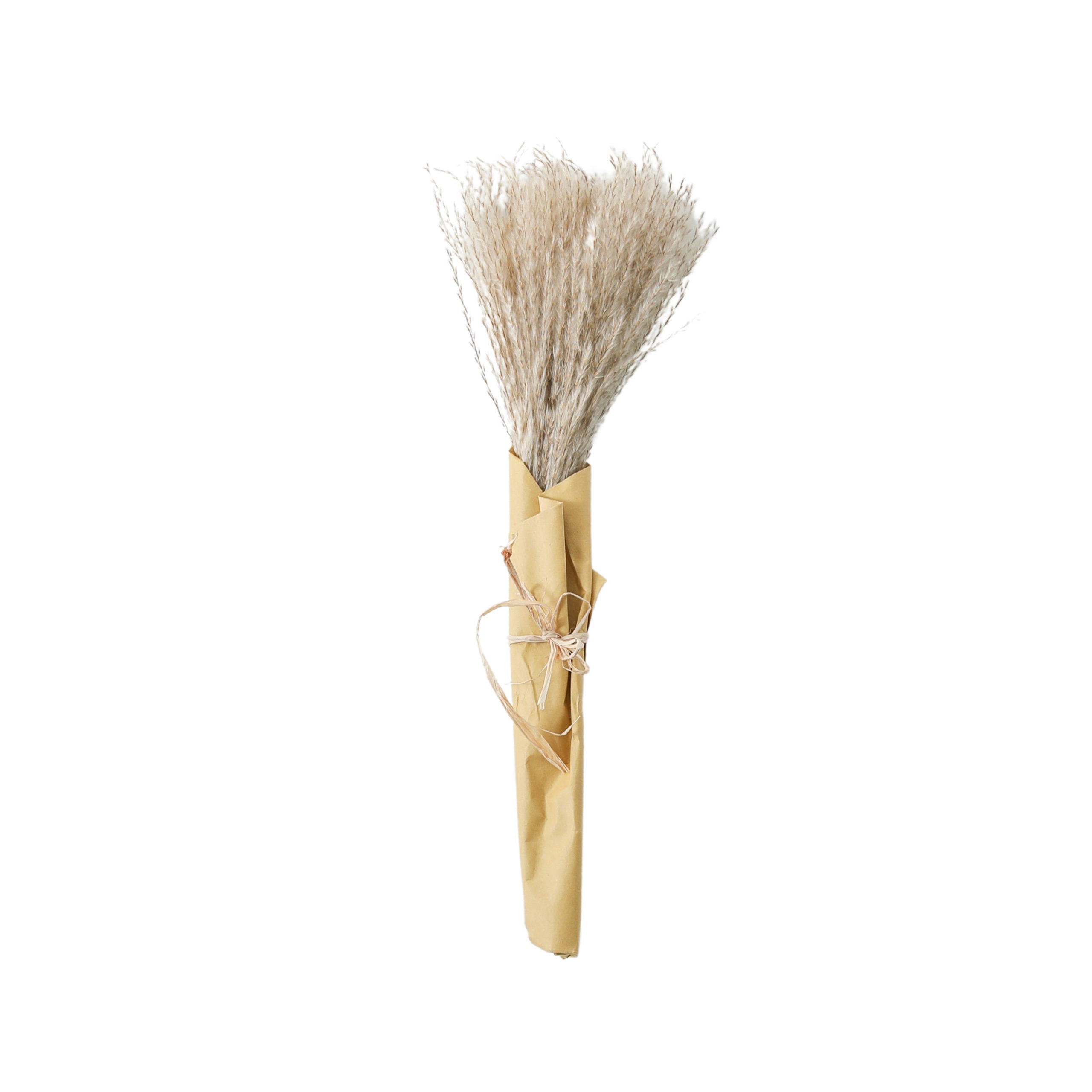 Gallery Direct Dried Reed Grass Bundle Paper Wrap Natural