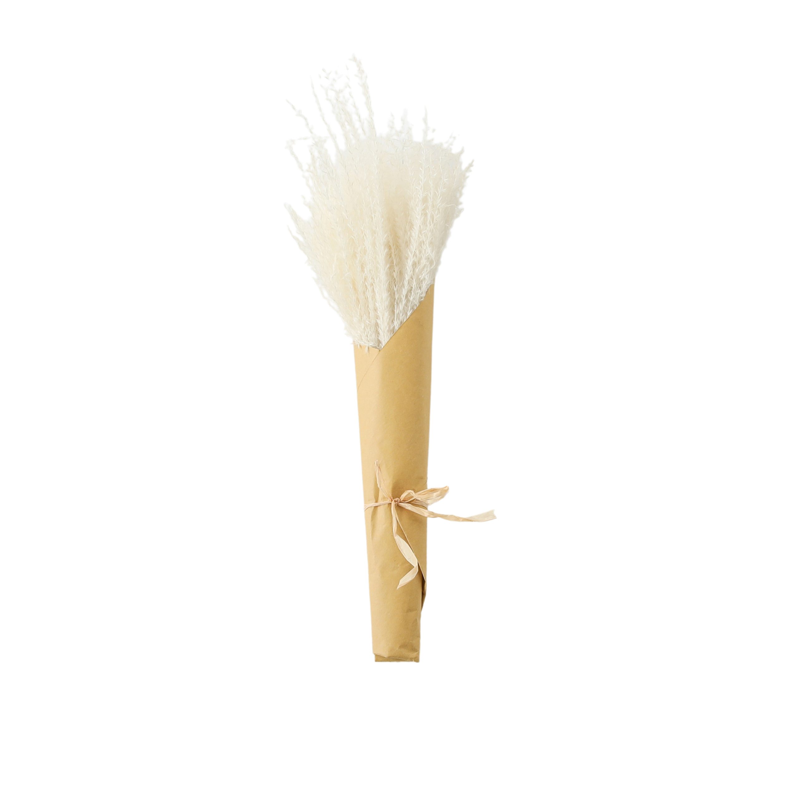 Gallery Direct Dried Reed Grass Bundle Paper Wrap White