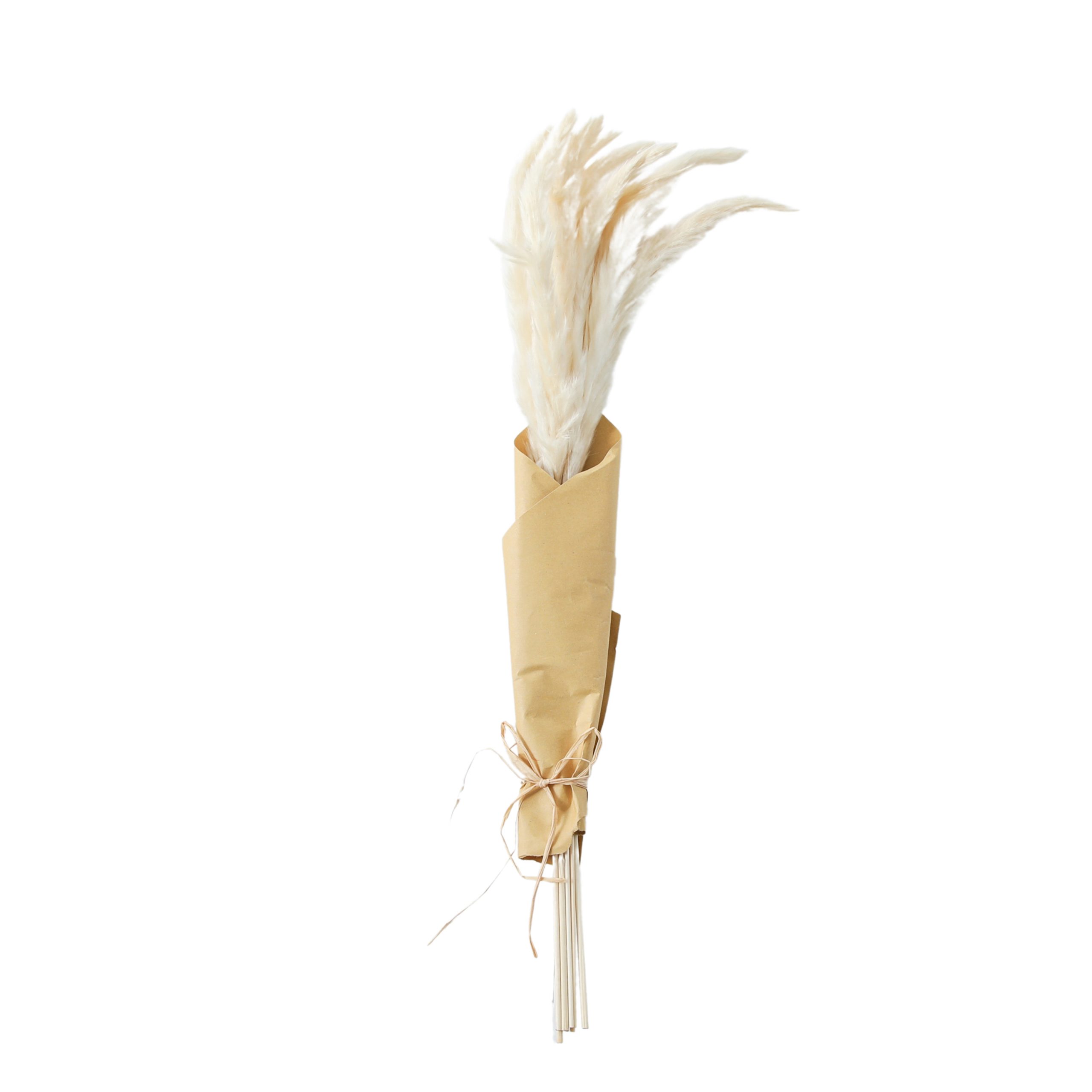 Gallery Direct Dried Reed Grass Bundle in Paper Wrap White