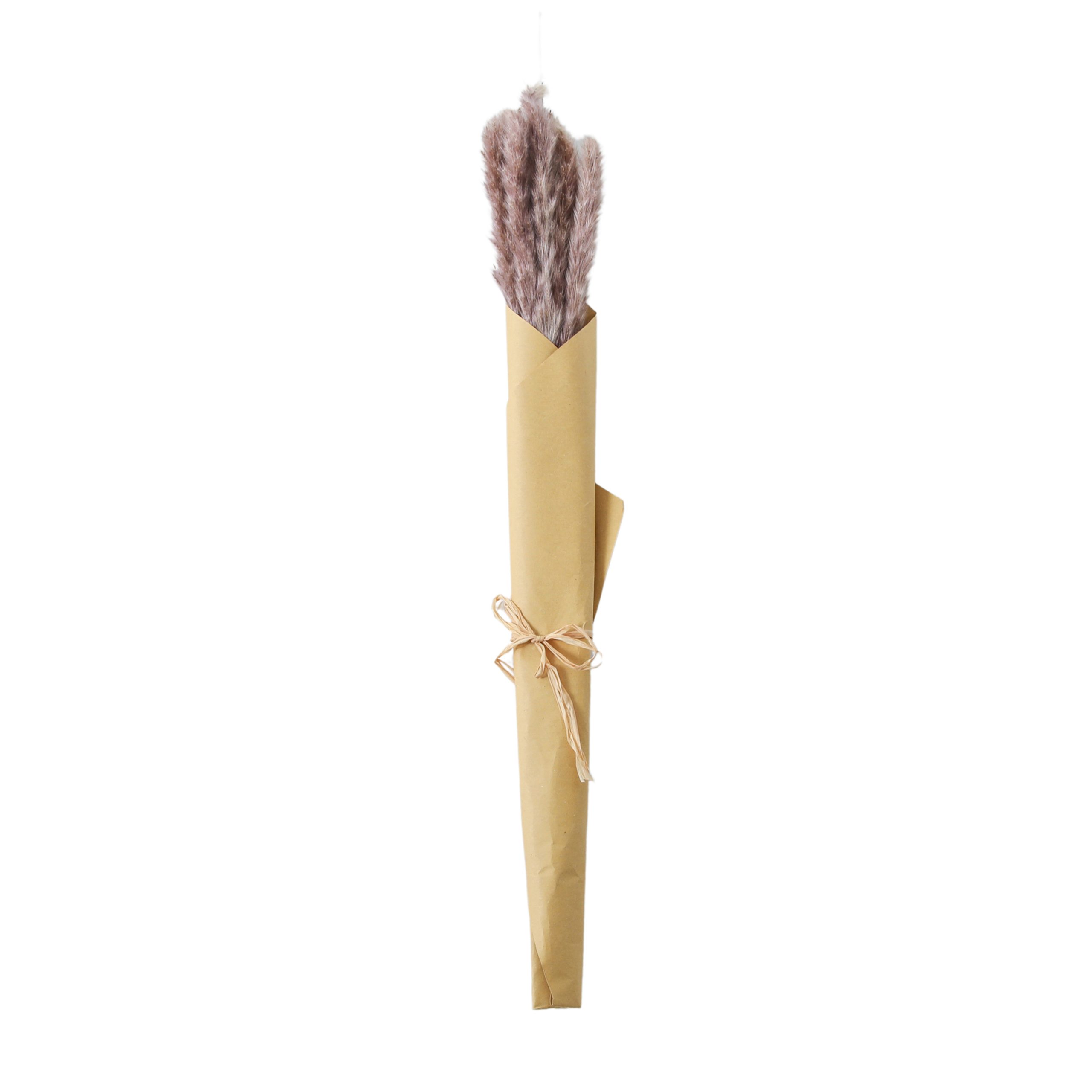 Gallery Direct Dried Reed Grass Bundle in Paper Wrap Lilac