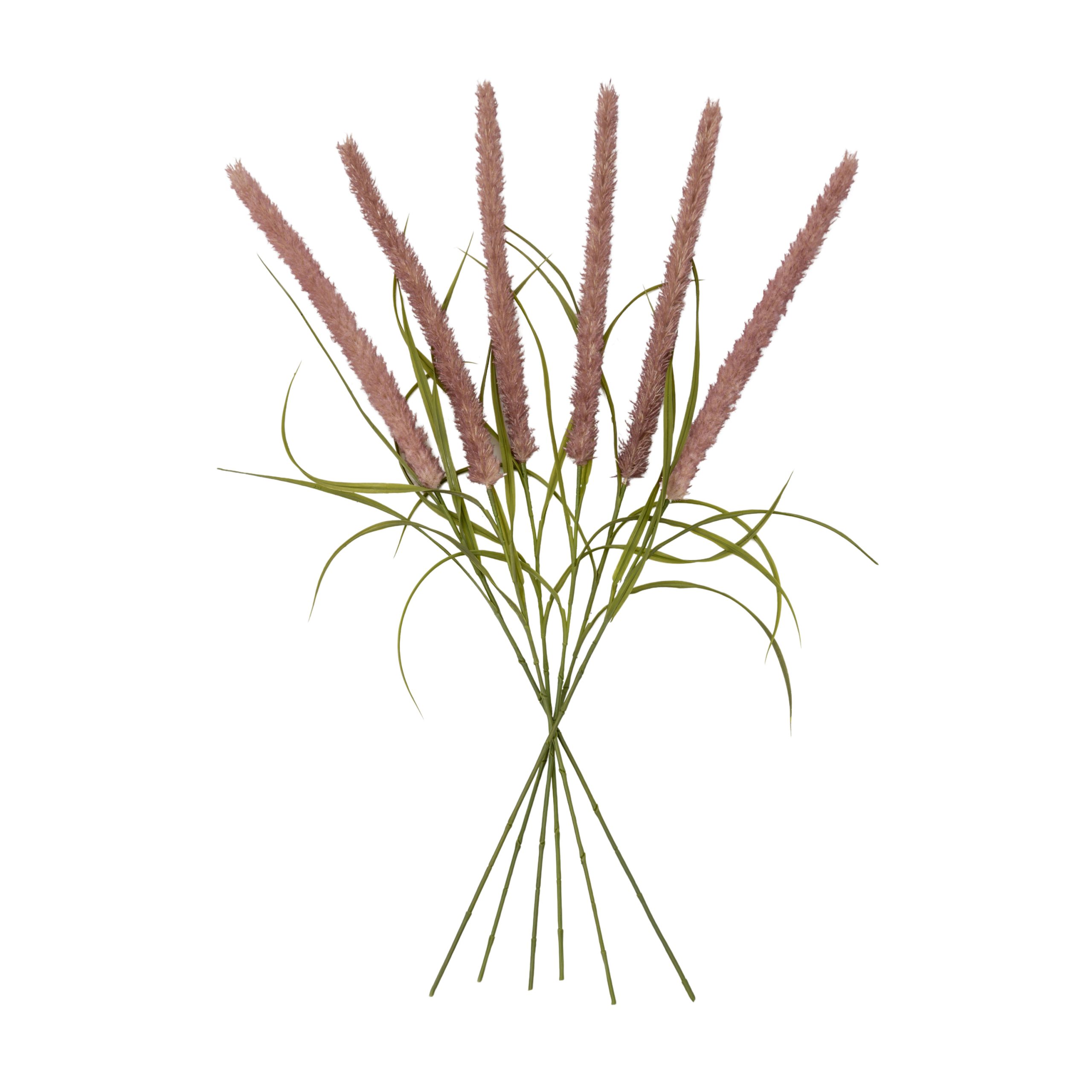 Gallery Direct Cattail Stem Mauve (Pack of 6)