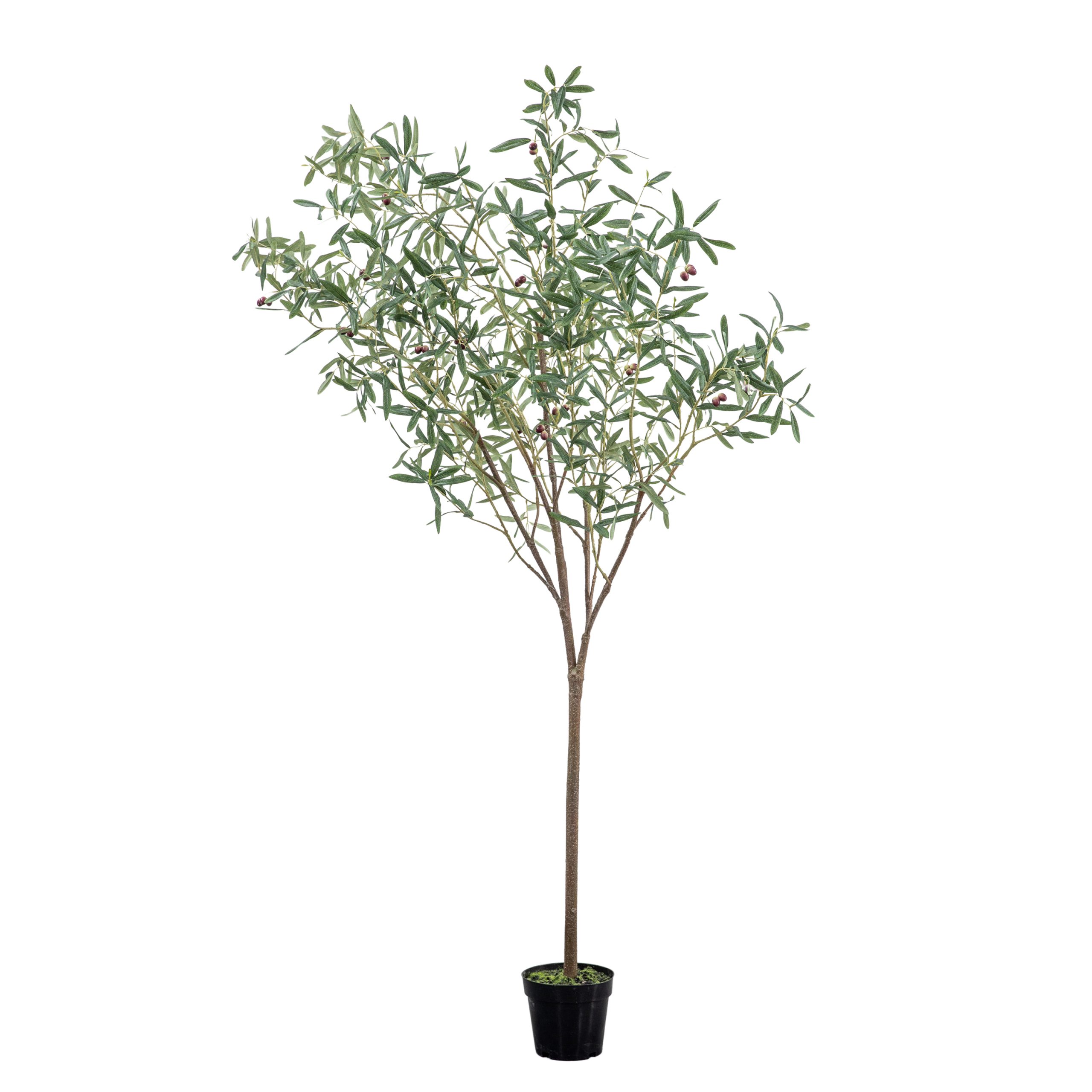 Gallery Direct Olive Tree Large Green
