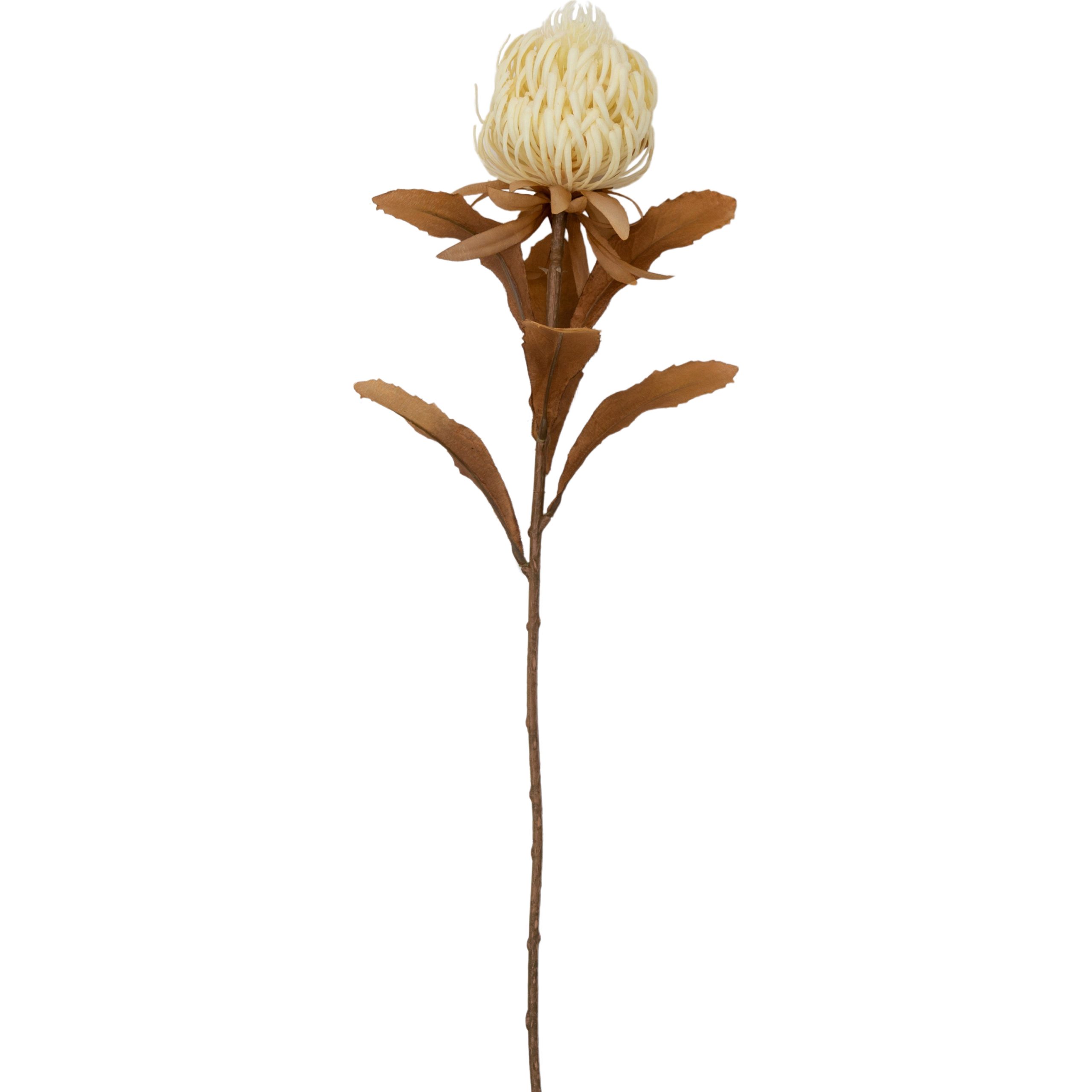 Gallery Direct Dry Look Protea Stem White (Pack of 3)