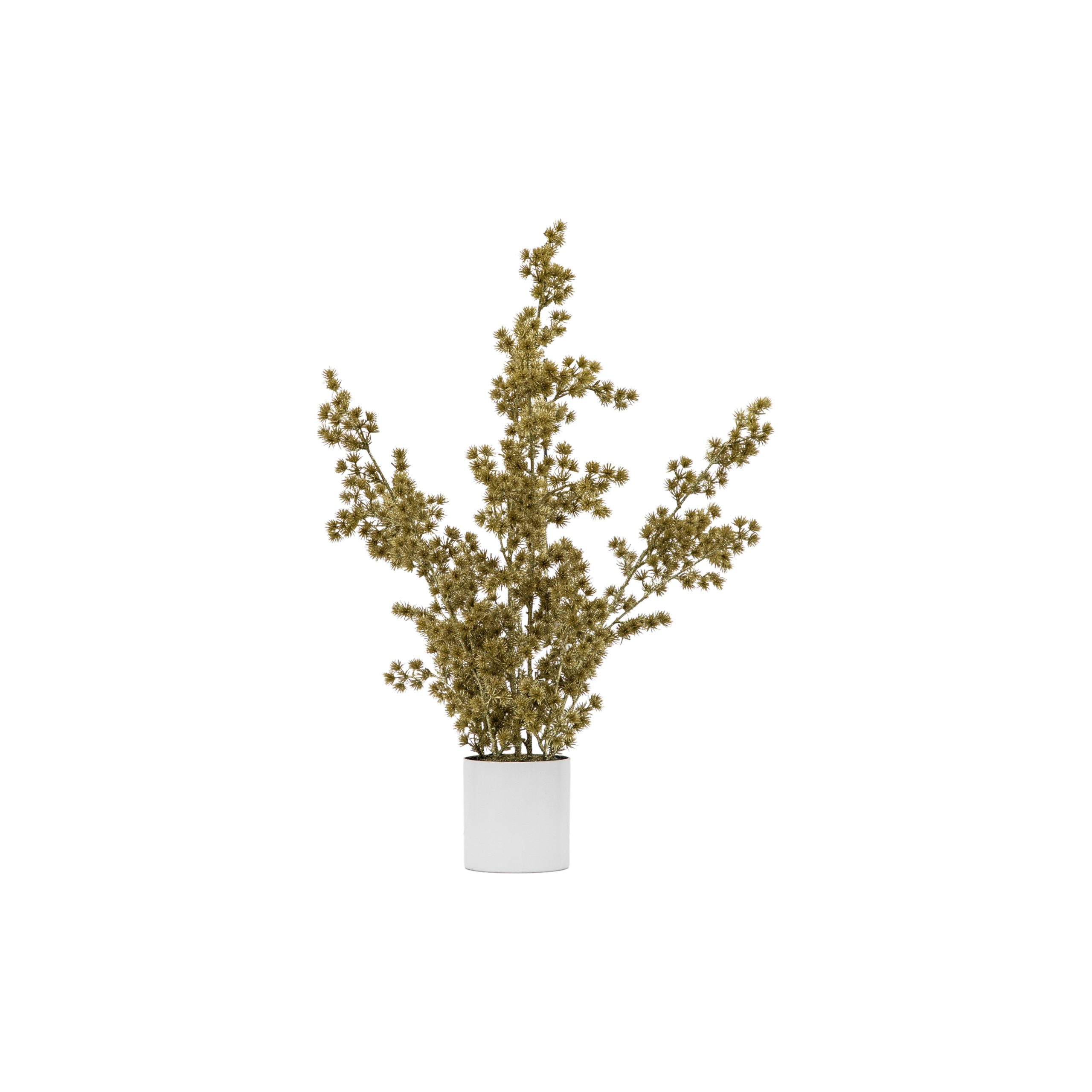 Gallery Direct Potted Cedar Pine Gold