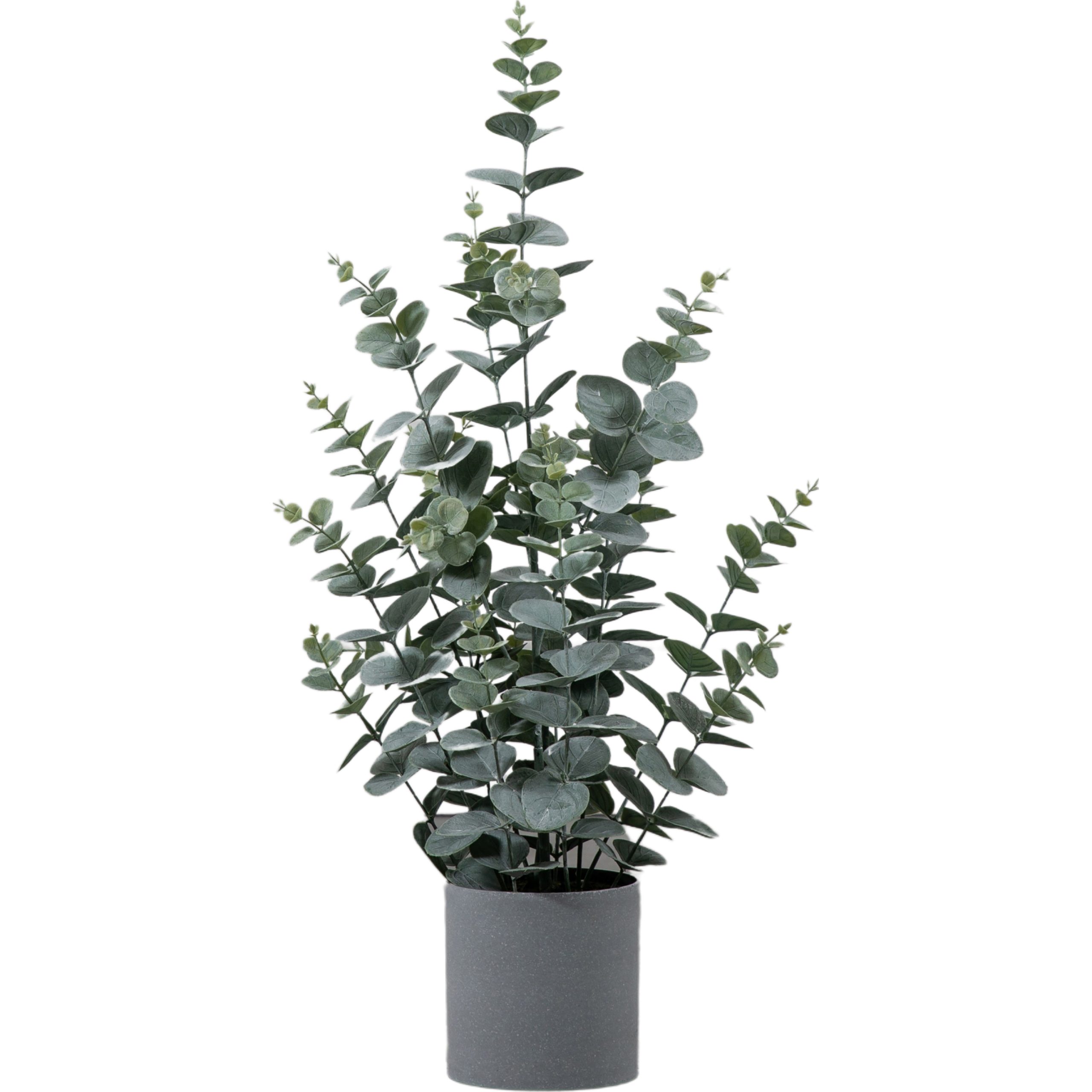 Gallery Direct Potted Eucalyptus Bush Green