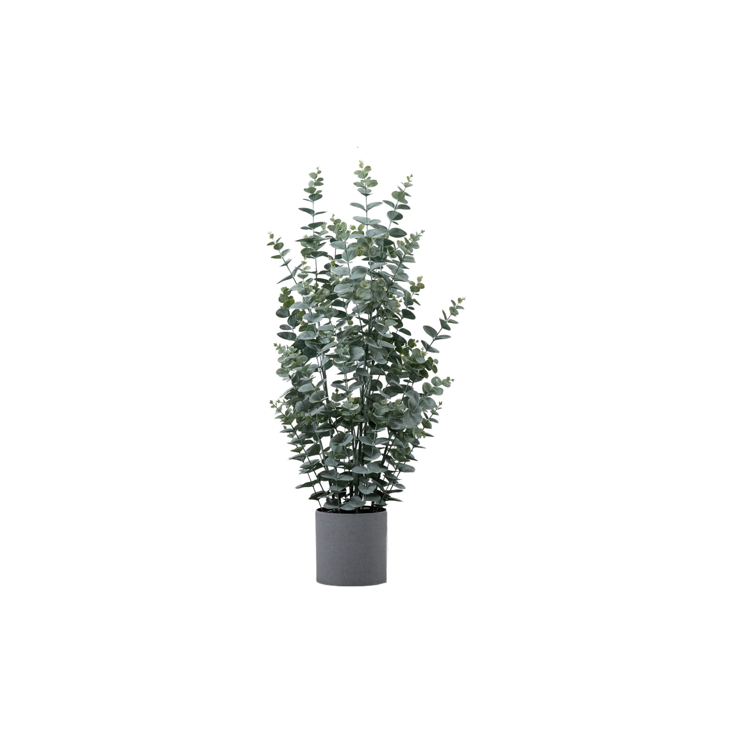 Gallery Direct Potted Eucalyptus Bush Green