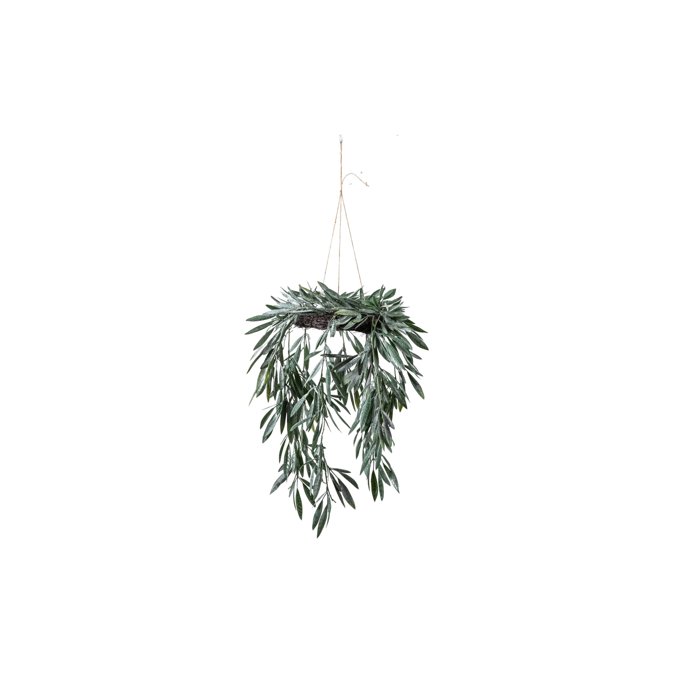 Gallery Direct Eucalyptus Hanging Wreath