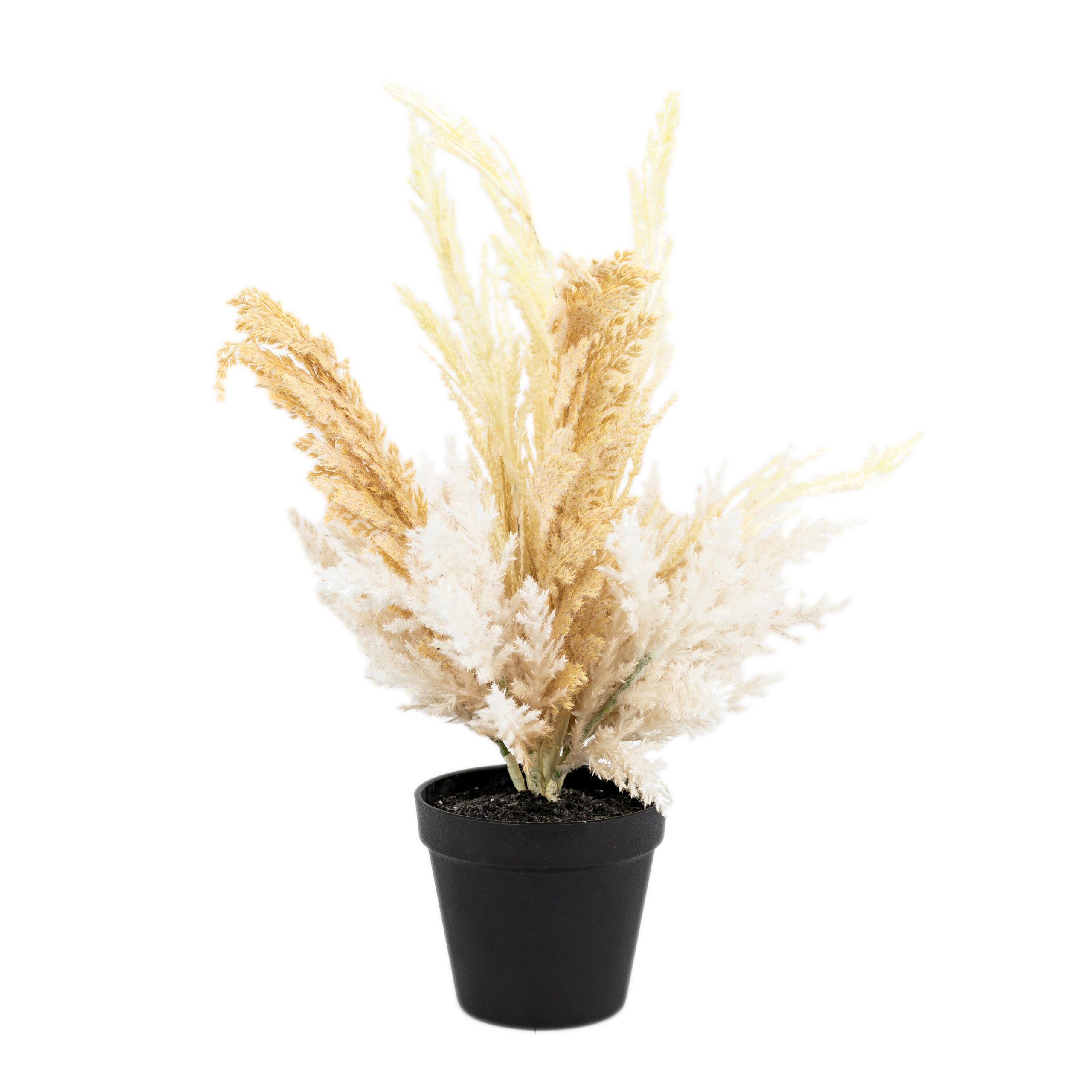Gallery Direct Potted Dry Grass Mix