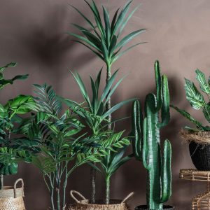 Gallery Direct Yucca Tree w3 Heads | Shackletons