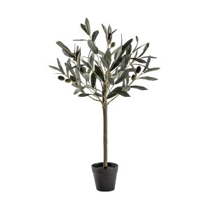Gallery Direct Olive Tree Small | Shackletons