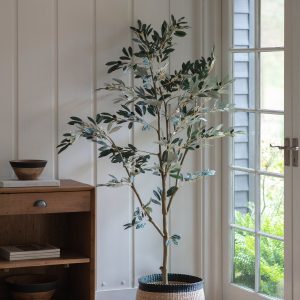 Gallery Direct Olive Tree Large 82 | Shackletons