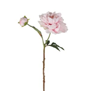 Gallery Direct Peony Spray Pink Pack of 6 | Shackletons