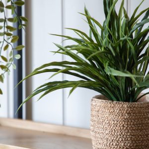 Gallery Direct Wild Grass in Soil Green | Shackletons